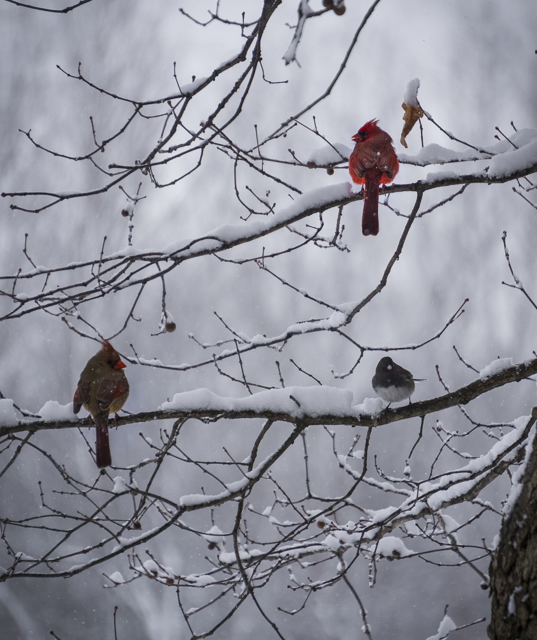 Three's a crowd, but sometimes that's just how it goes.