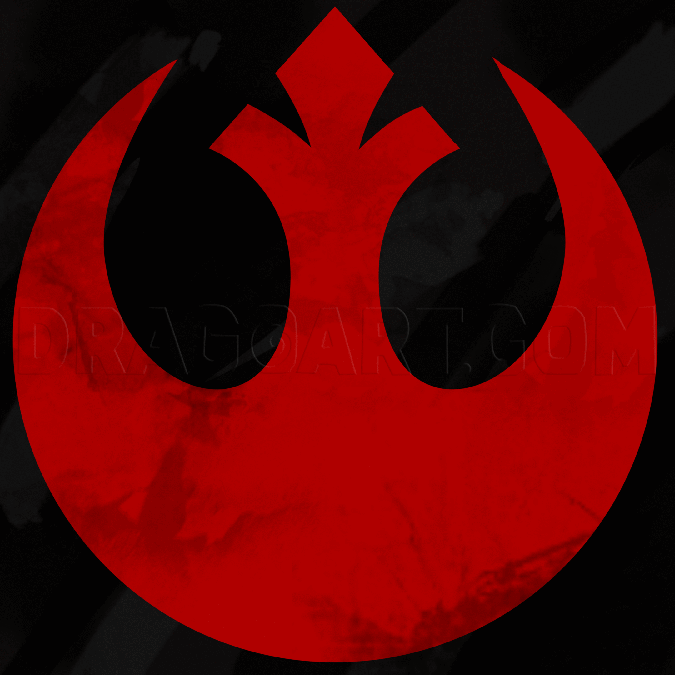A Little Collection of Star Wars Goodness
