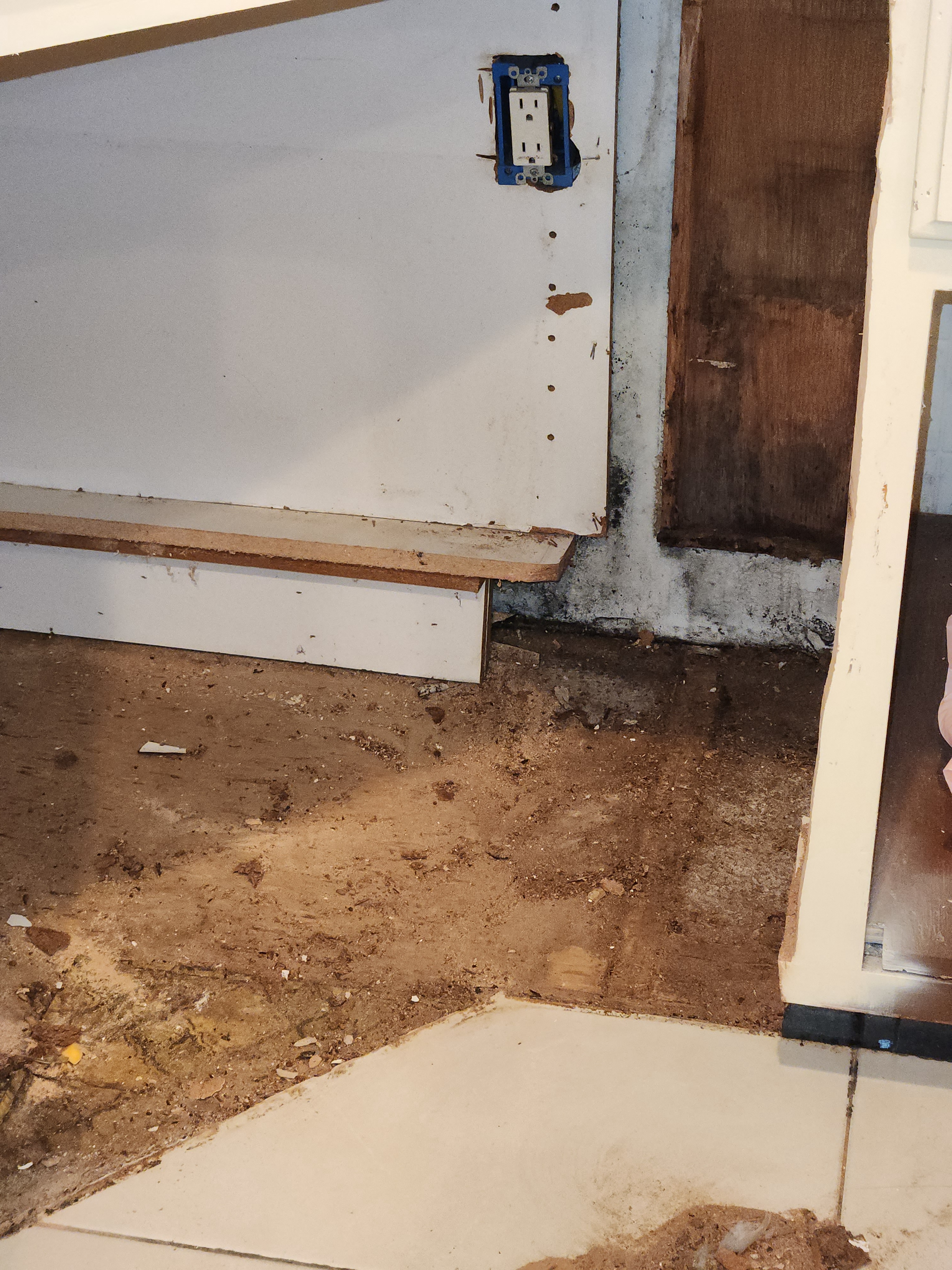 Uncovering Dry Rot Beneath the Sink