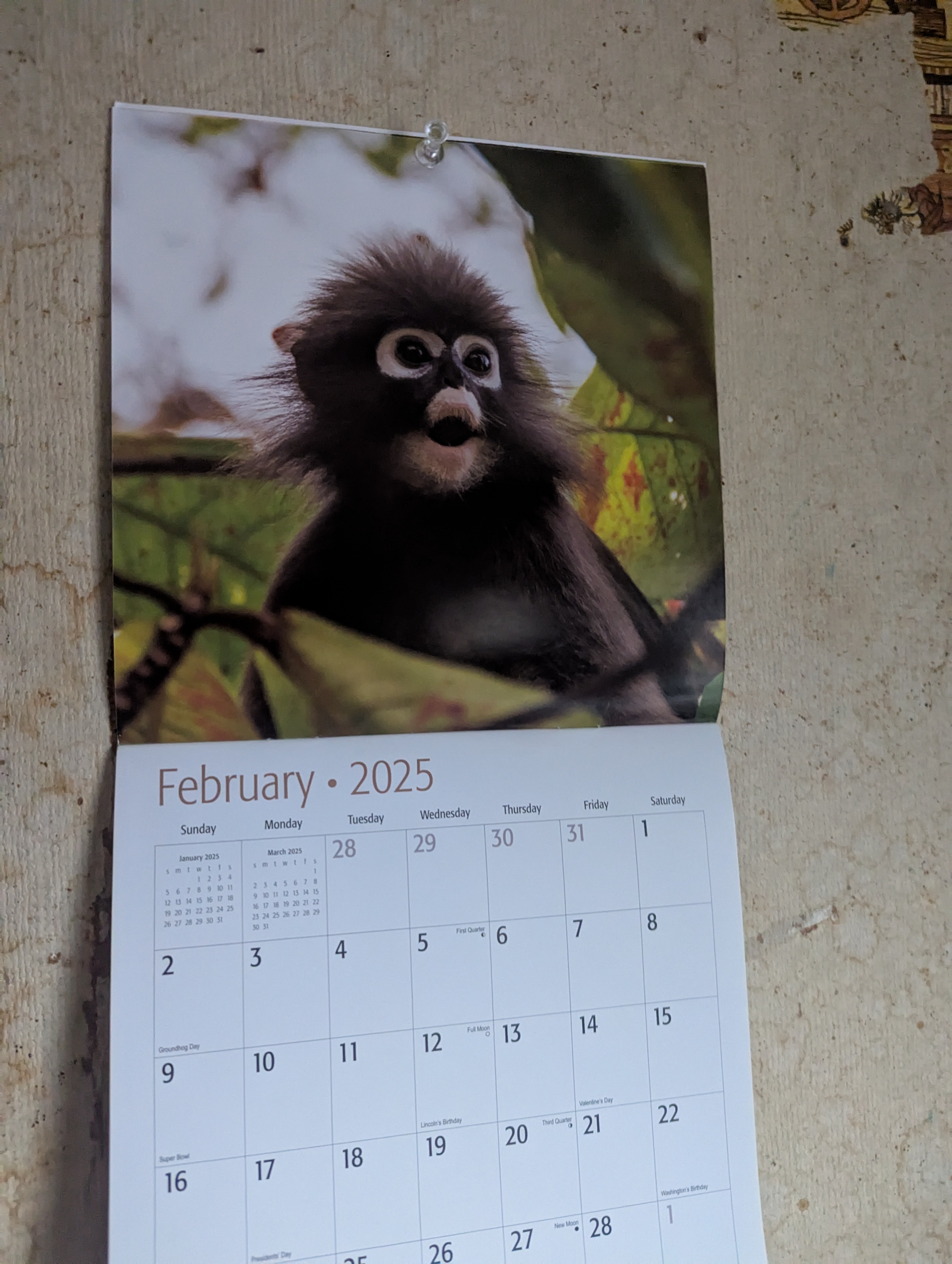 Check out this quirky calendar that's currently hanging in my kitchen.