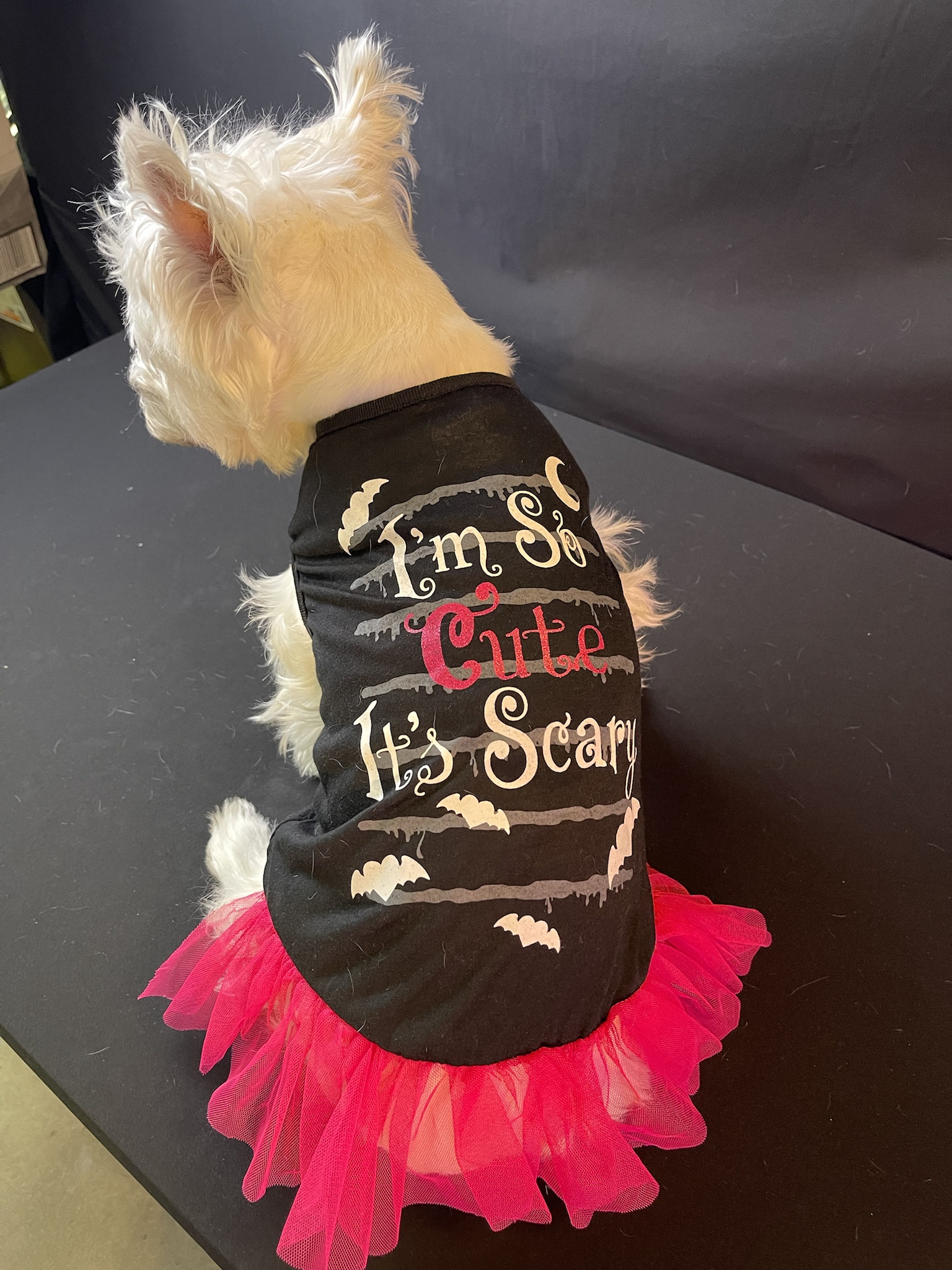Remembering Lily Bella in Her Adorable 2022 Halloween Costumes