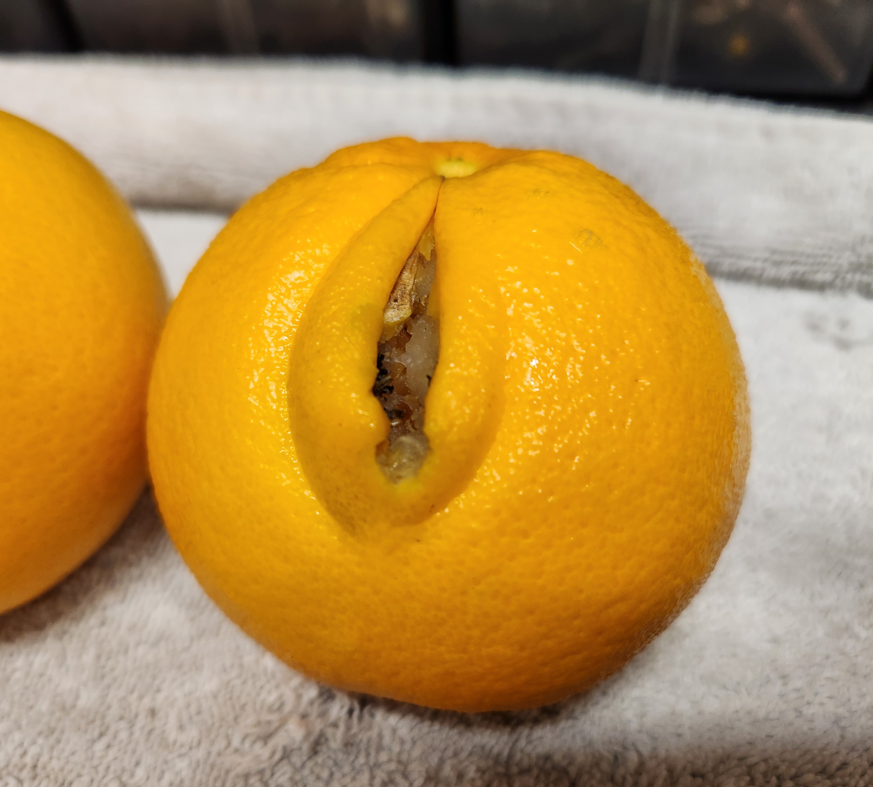 Chill out, Oranges! No need to get worked up!