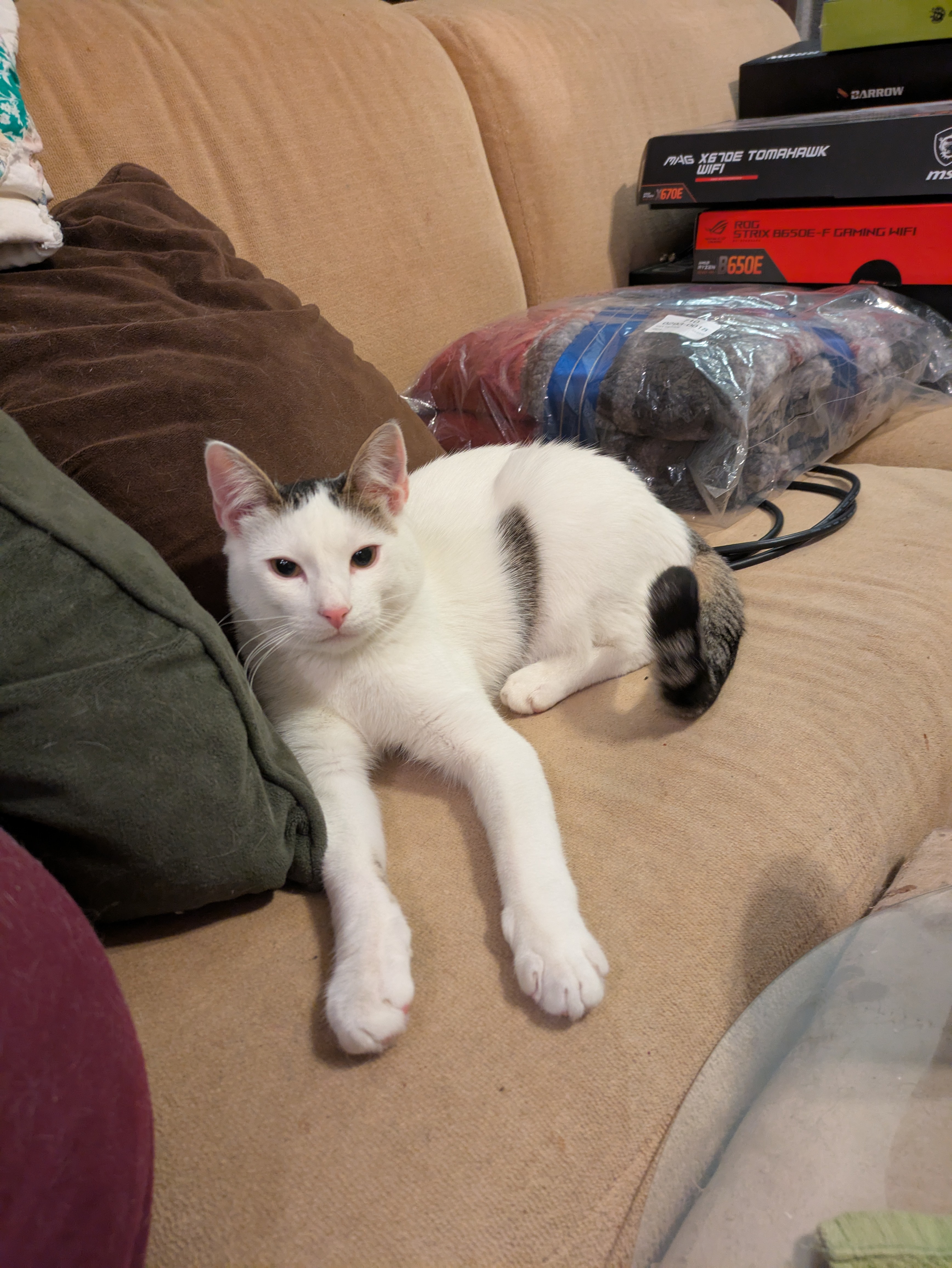 When he's trying to guilt-trip me for my late-night adventures.