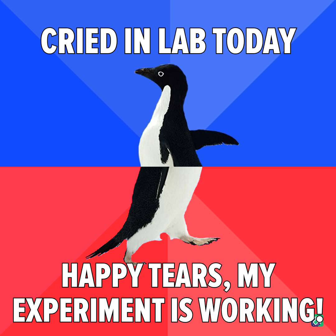 Exploring the Wonders of Science!