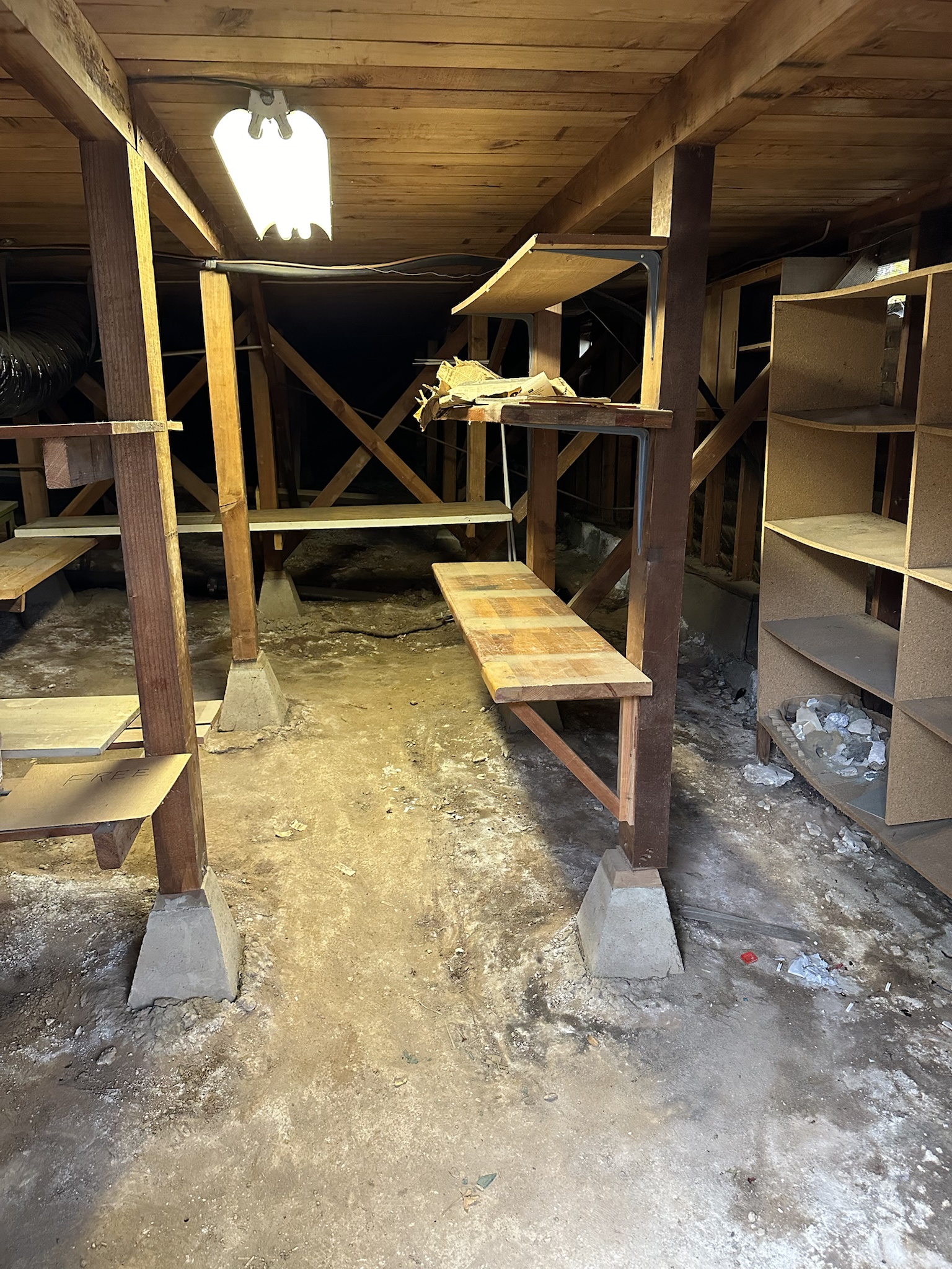 Exploring the Mysterious Crawlspace