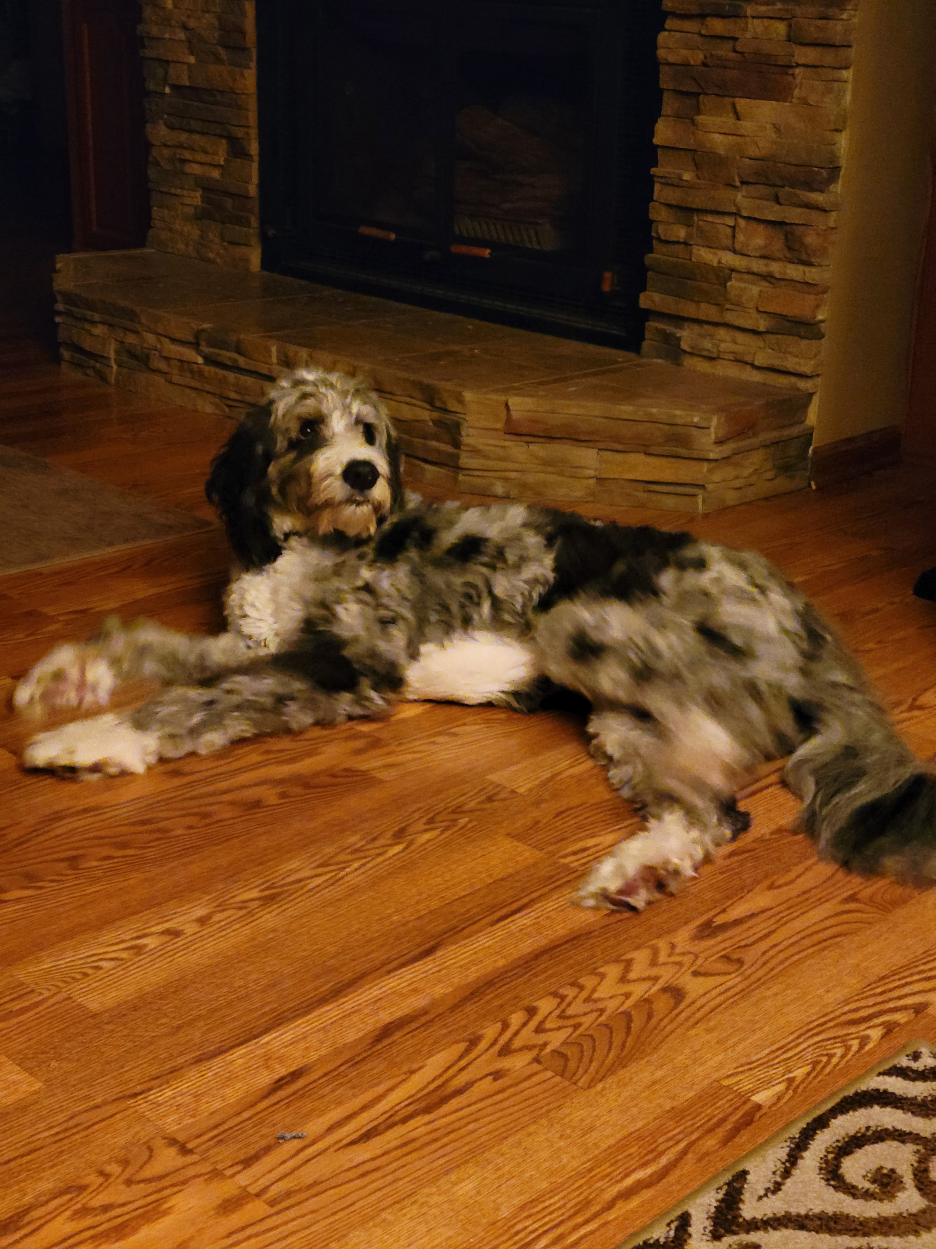 Meet Kotter: The Legend