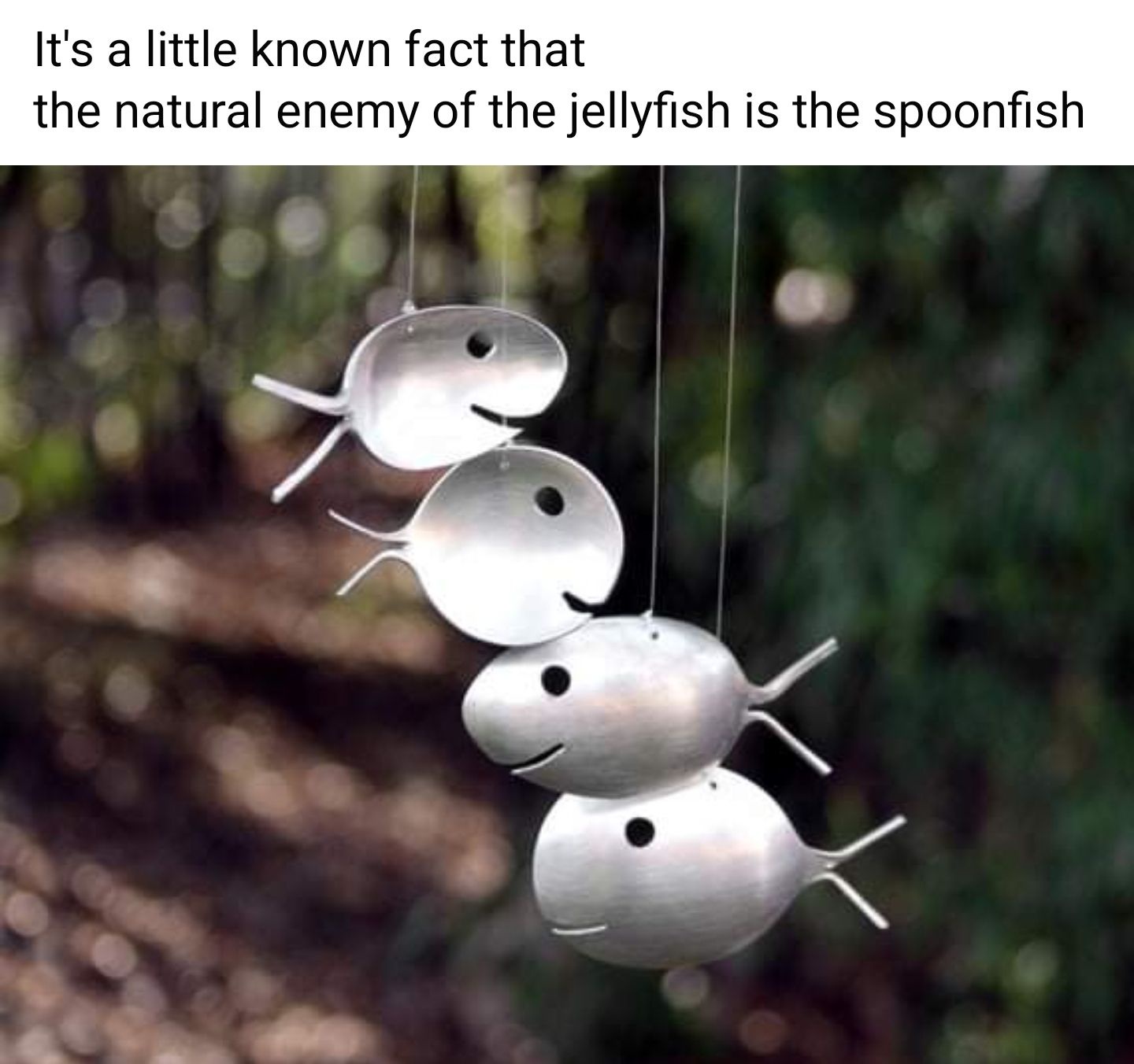 Isn't Nature Just Incredible?
