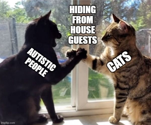 Finding Common Ground: Relatable Moments in Autism