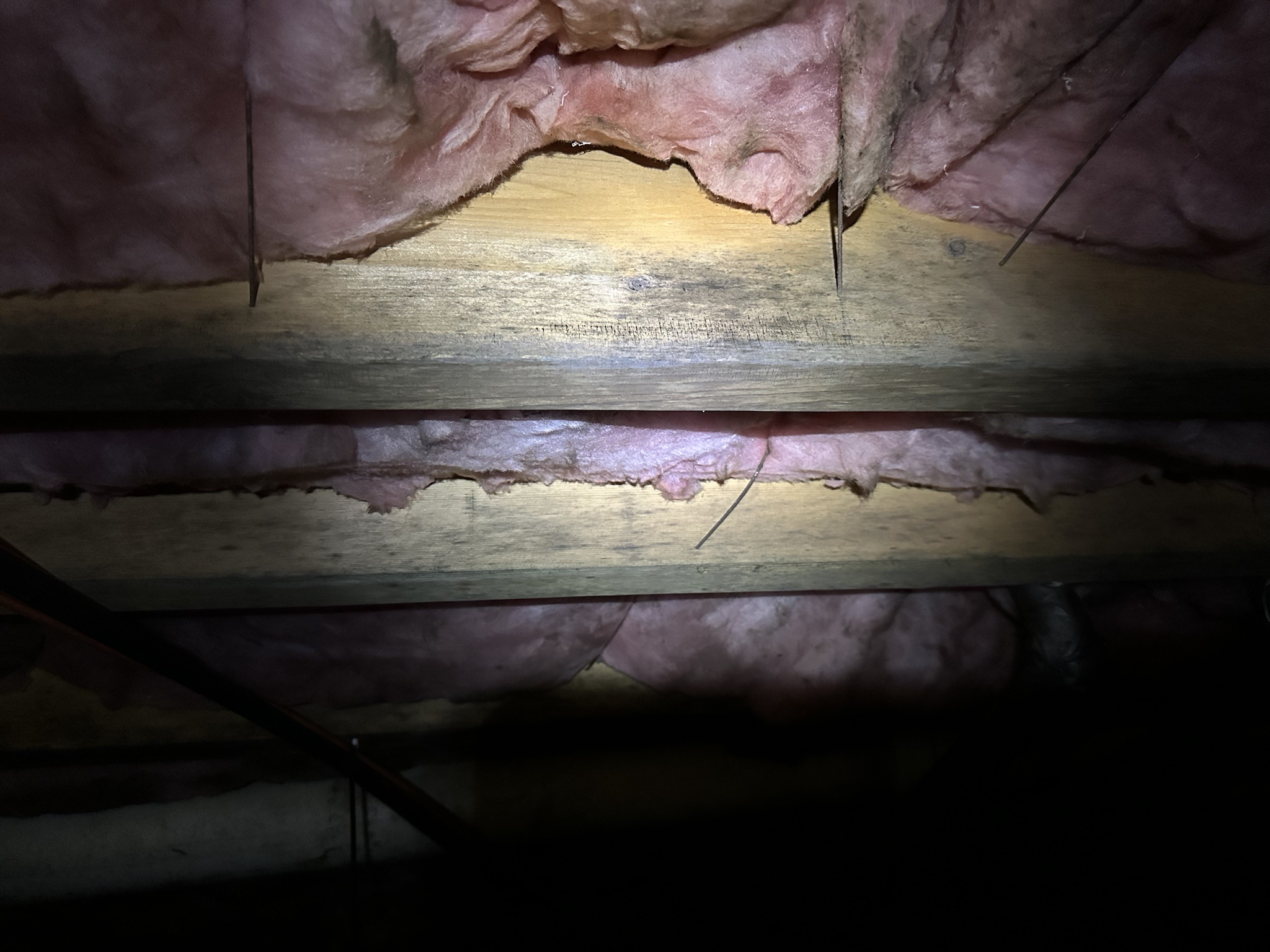 Understanding Floor Joists: The Backbone of Your Home
