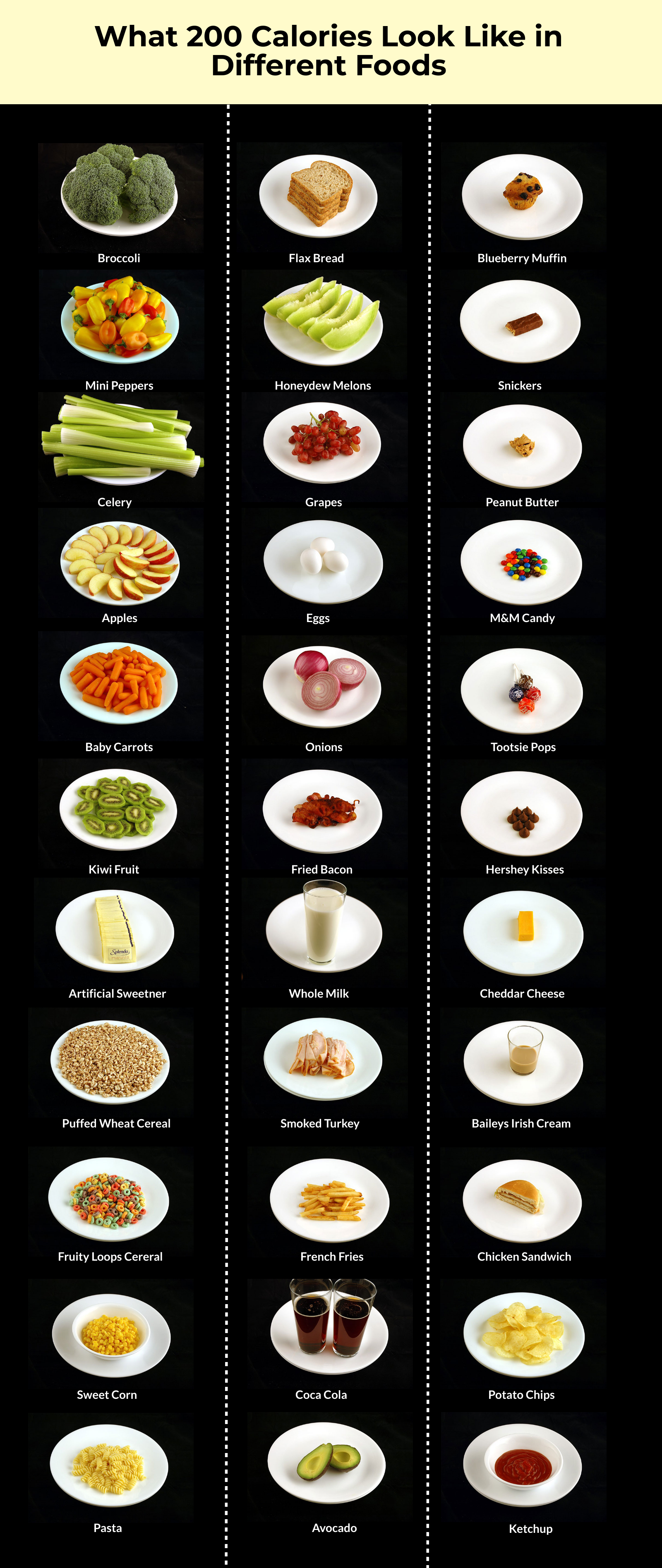 A Visual Comparison of 200 Calories Across Different Foods