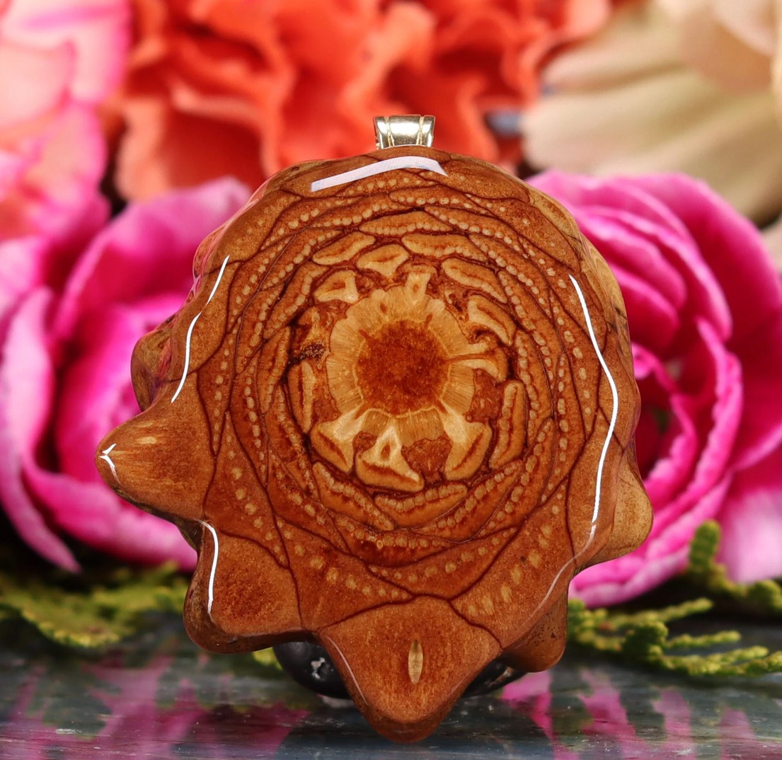 The Enlightened Pinecones: Third Eye Open