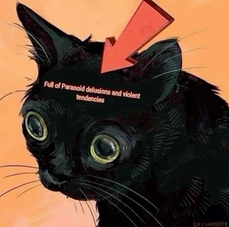 Memes Collection Volume 431: The Good Stuff