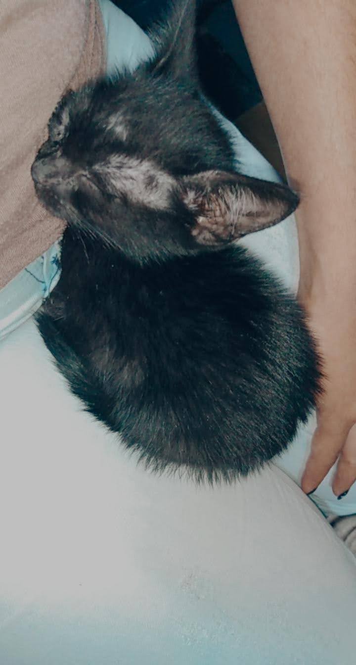 My First Day in a New Home: Clinging to Mom for Dear Life