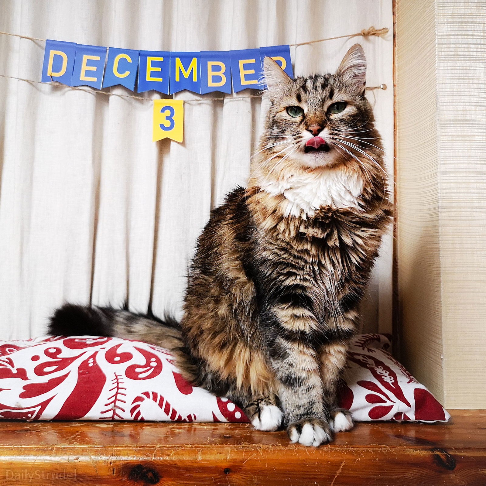 Mark your calendars: December 3 is here!