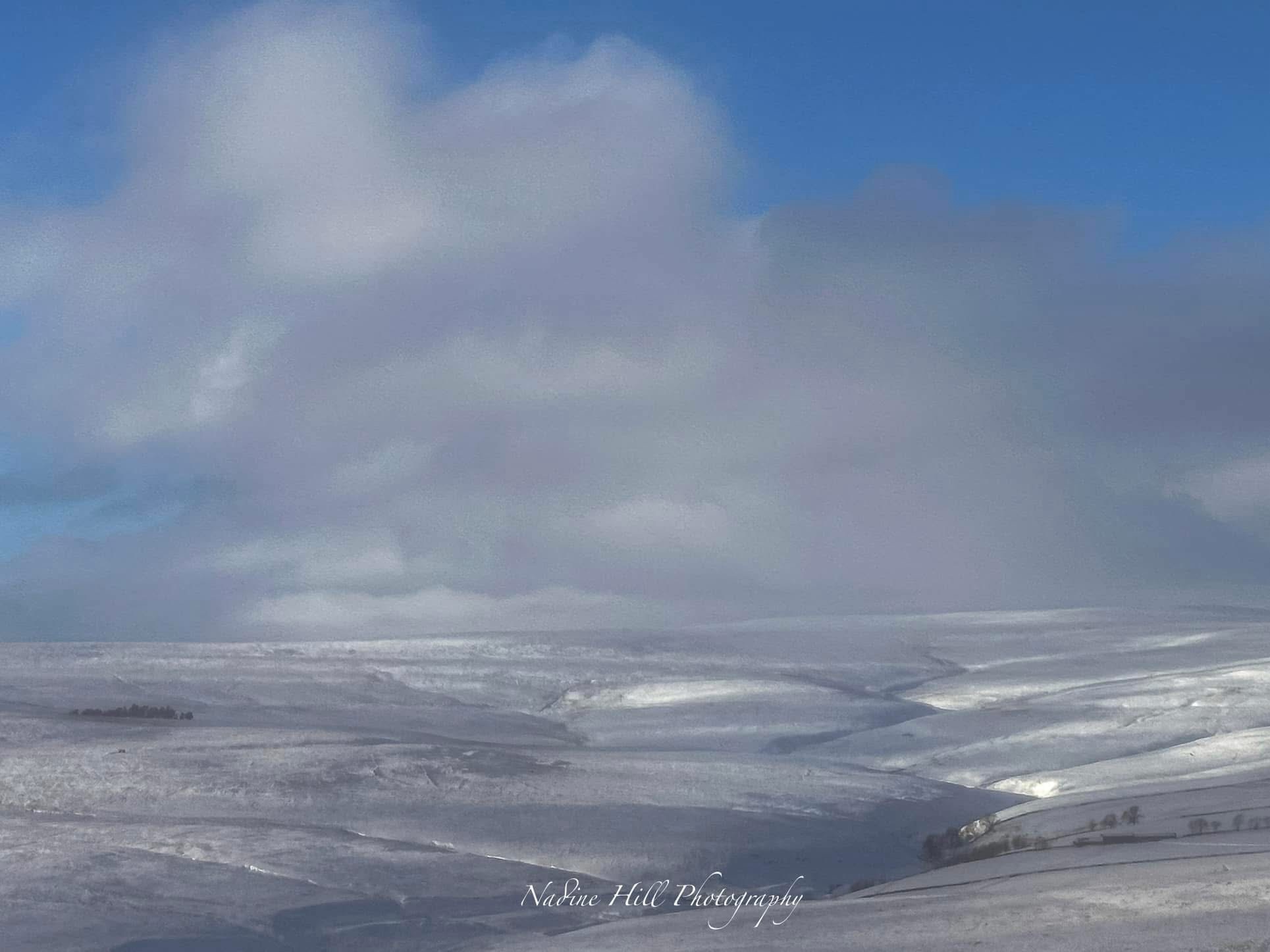 A Winter Wonderland of Snow