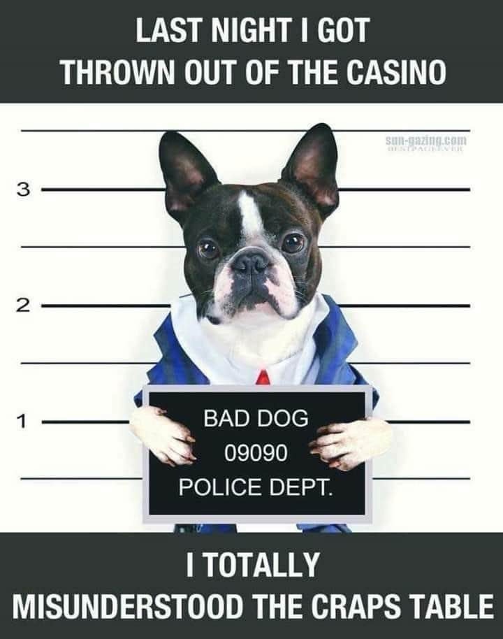 Just a hunch, but this might be the first *dog* based on some casinos.