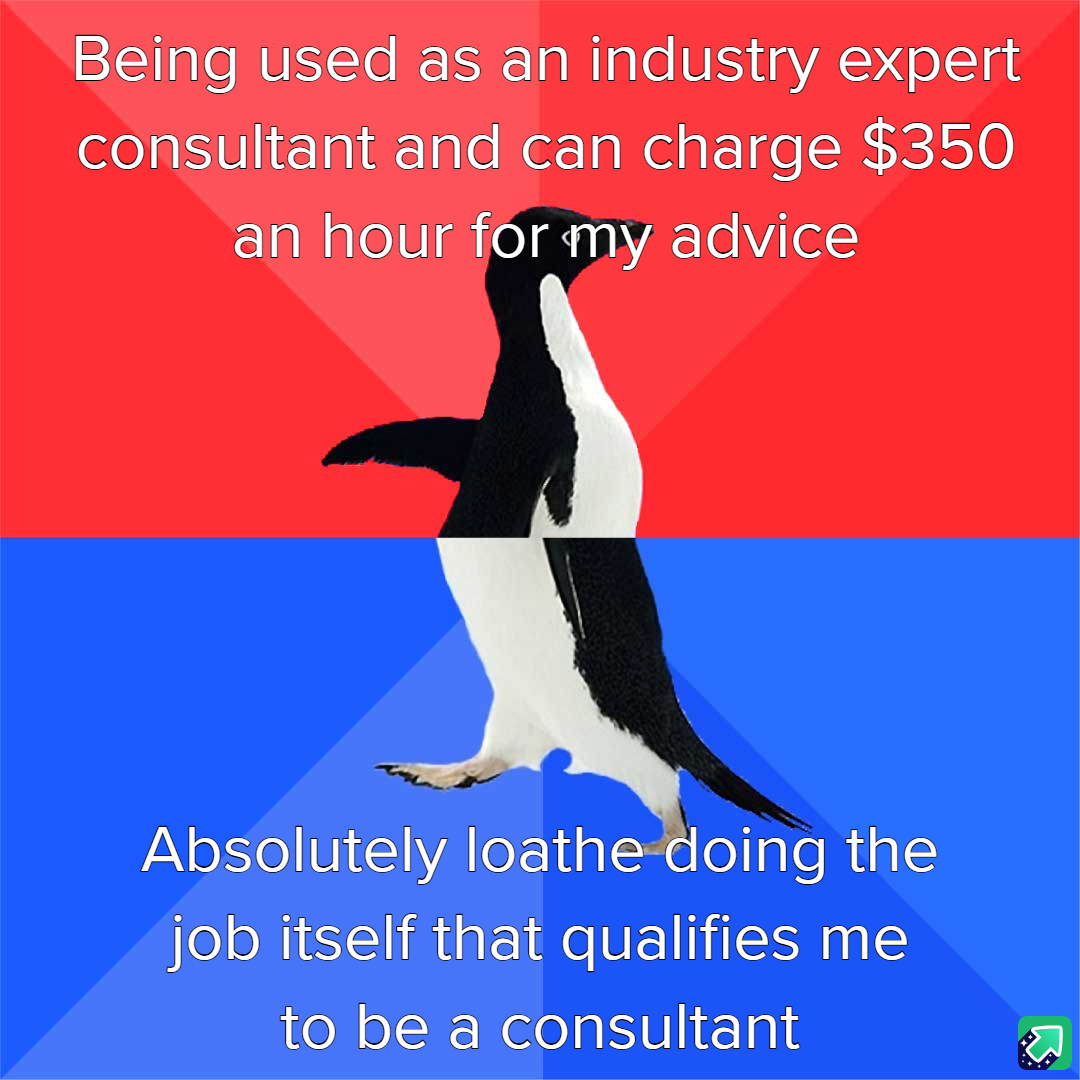 For $350 an Hour, I Can Teach You How to Avoid My Job