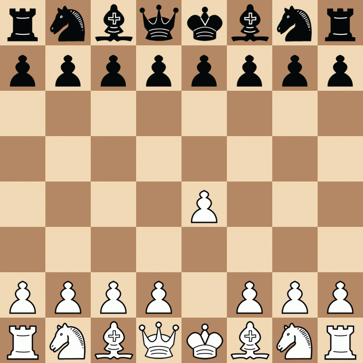 The Intriguing World of Chess