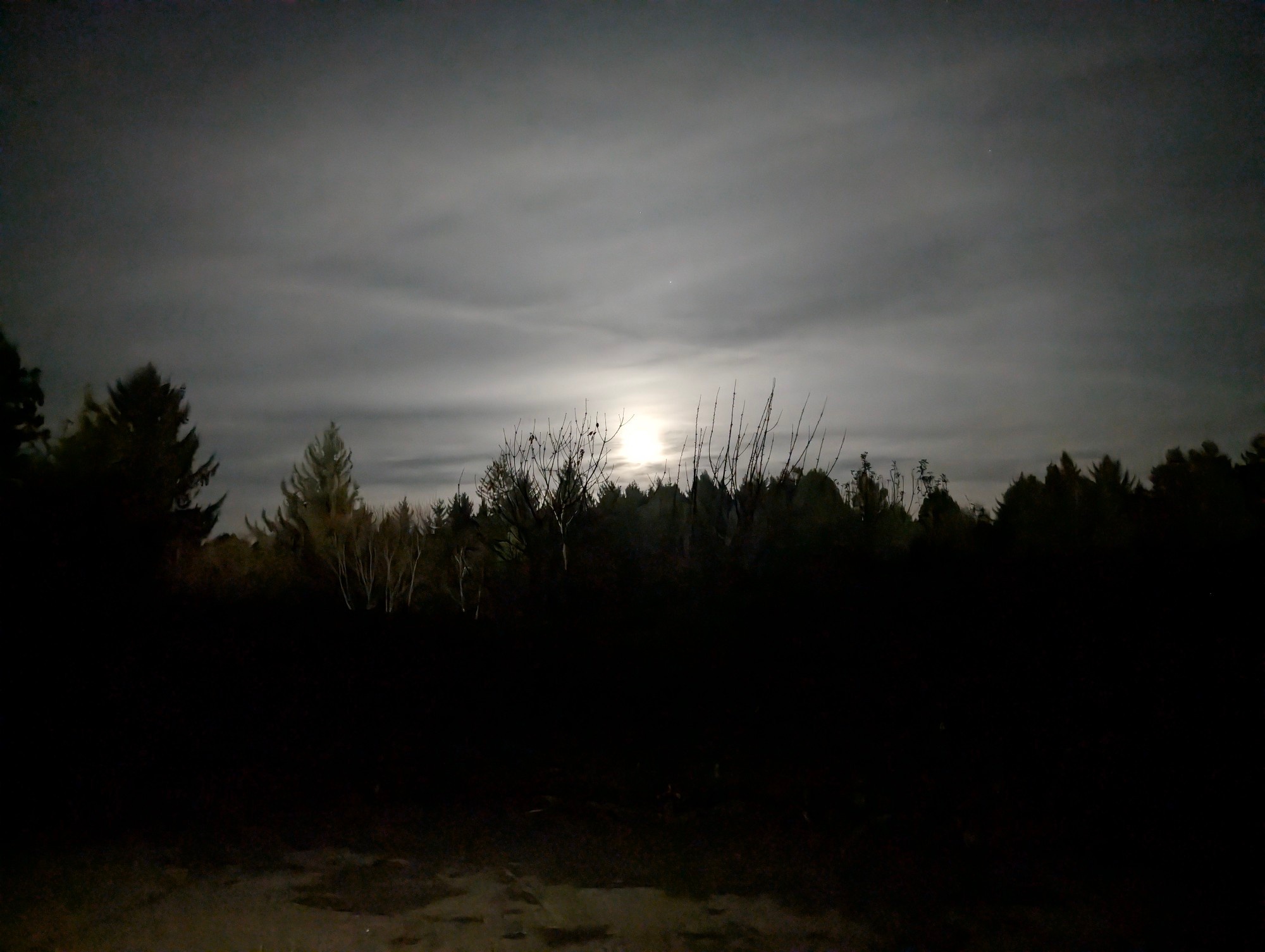 A Hauntingly Beautiful Moonlit Night