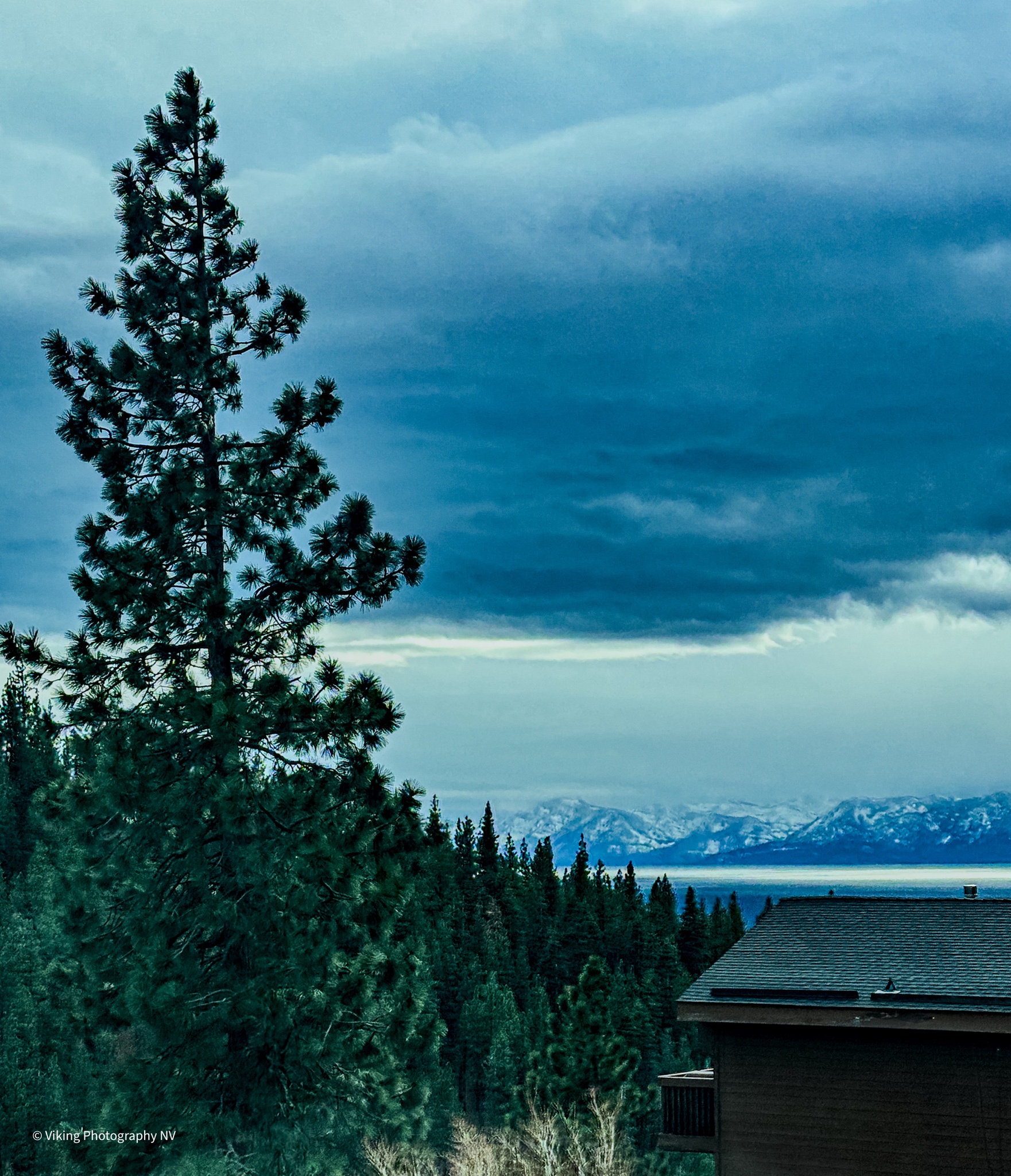 Diving into the World of Photography and Editing