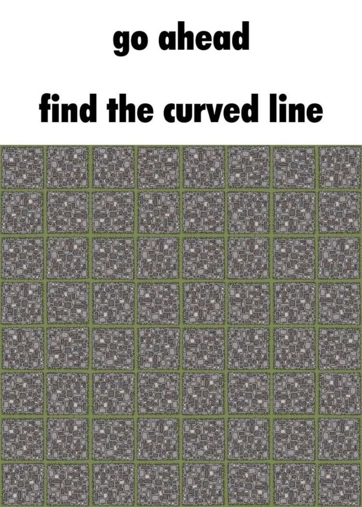 Can You Spot the Curved Line in This Optical Illusion?