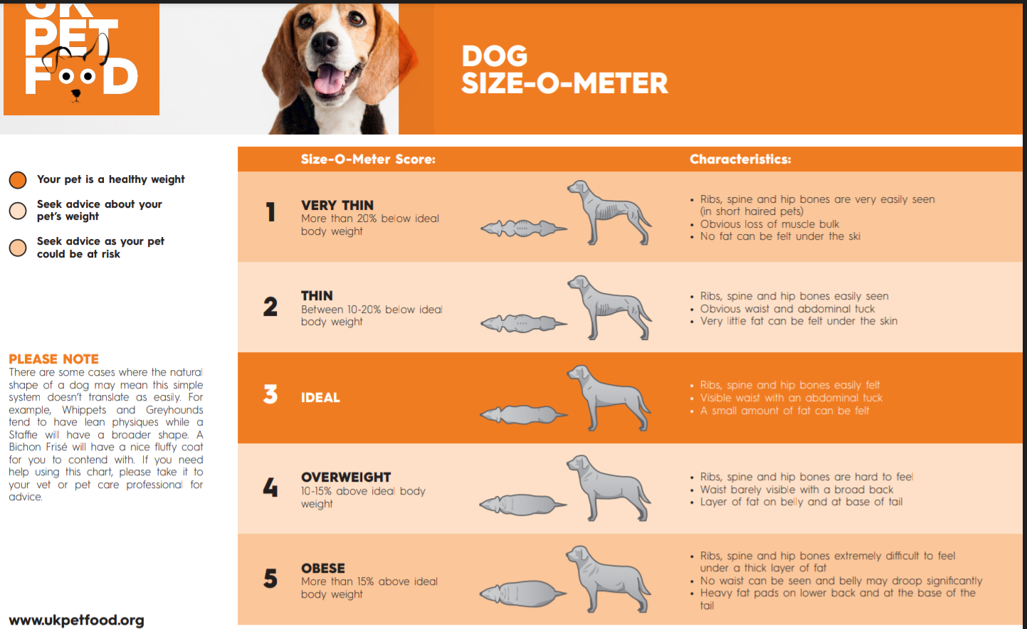 The Ultimate Guide to Dog Weight: How Much Should Your Pup Weigh?