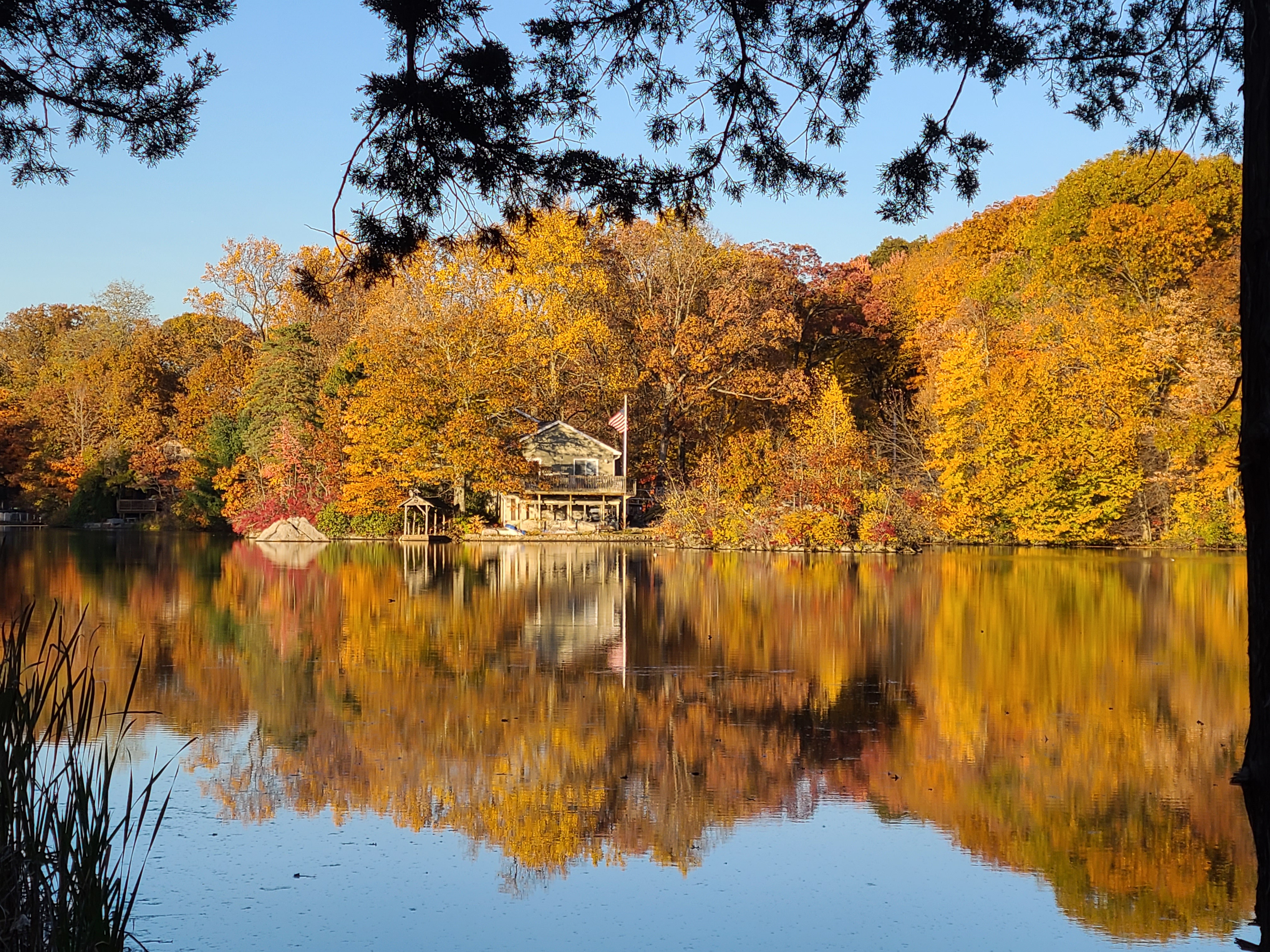 Exploring the Natural Beauty of NYC: Landscapes and More