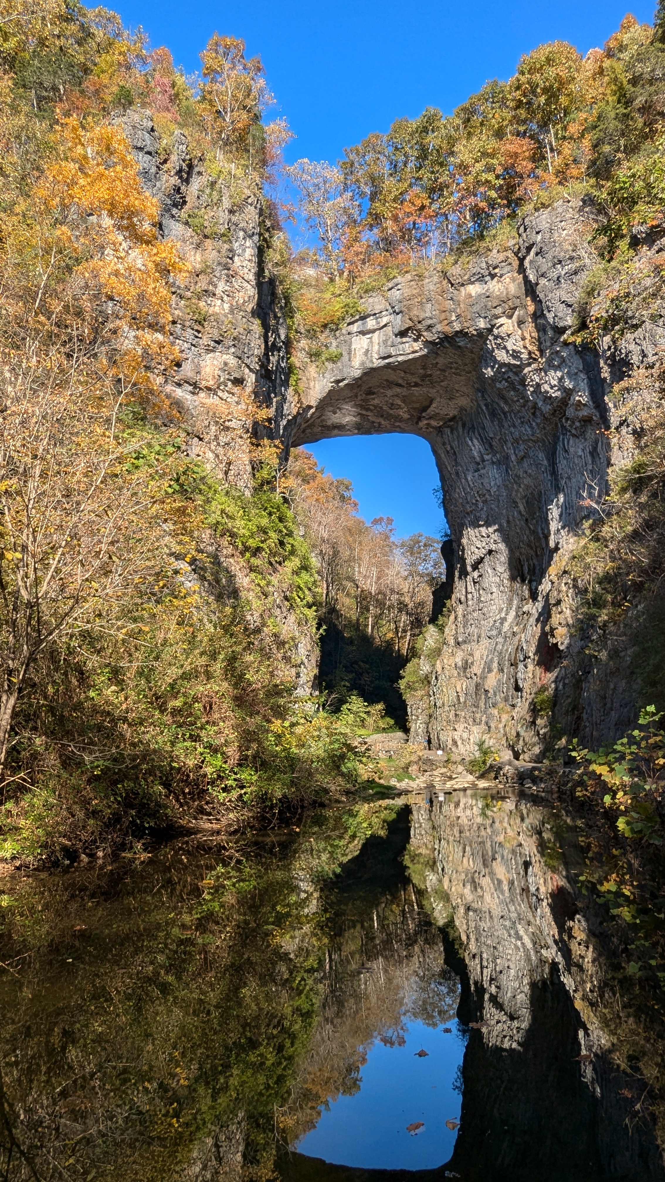 Discovering the Beauty of Natural Bridge State Park in Virginia