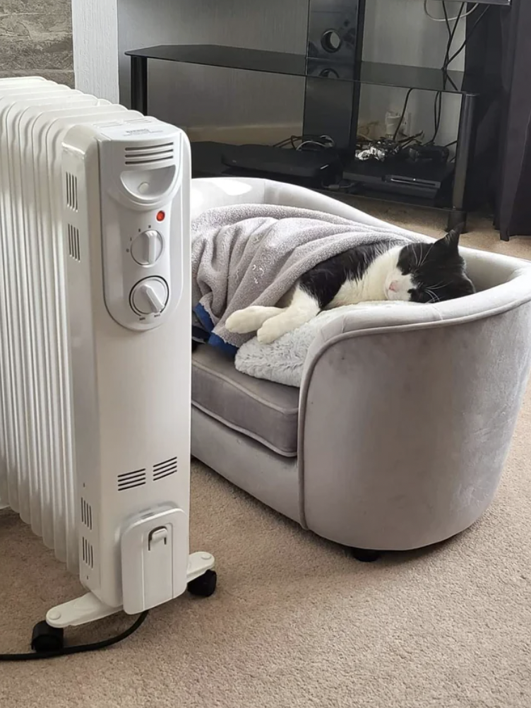 The Perfect Cozy Vibes