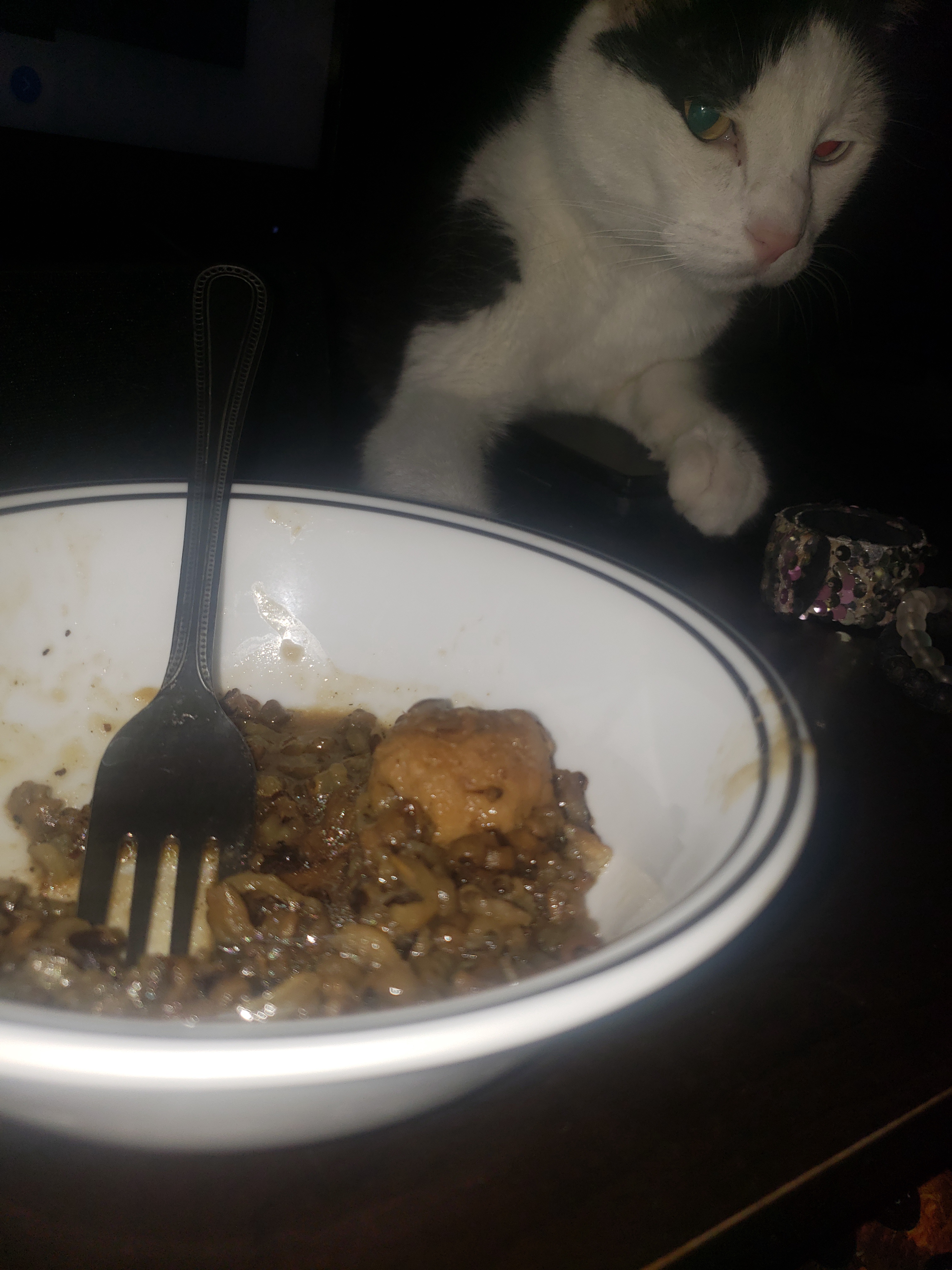 Mr. Fitz's Quest for a Caturday Treat