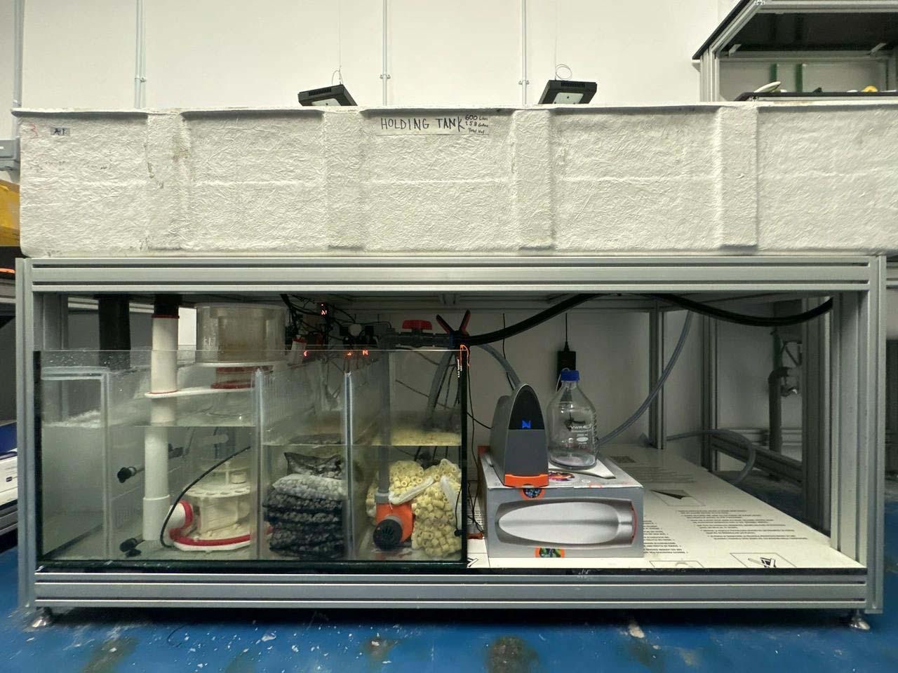 Inside the Holding Tank: A Closer Look
