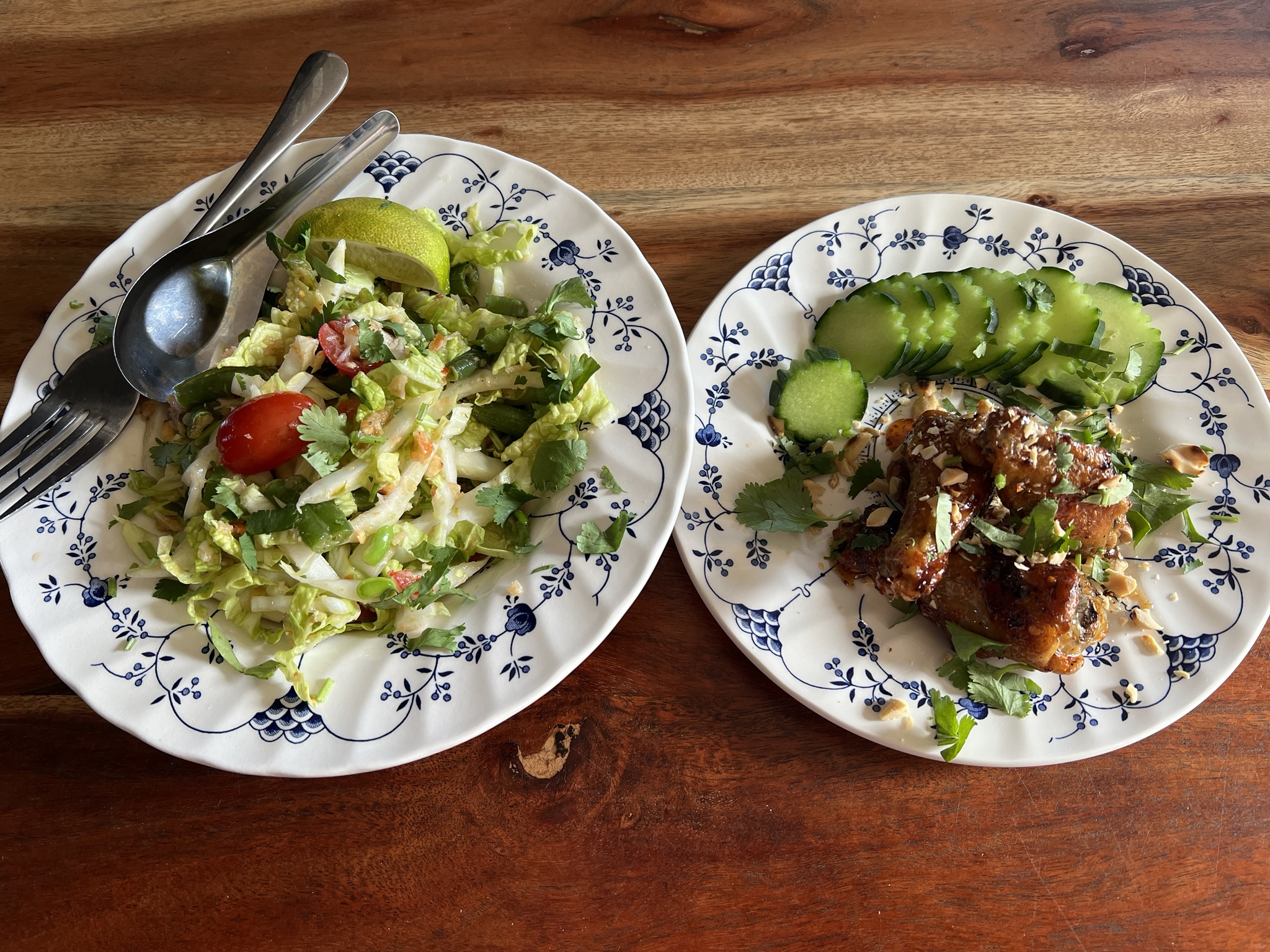 Enjoying a Sunny Thai Lunch at Home