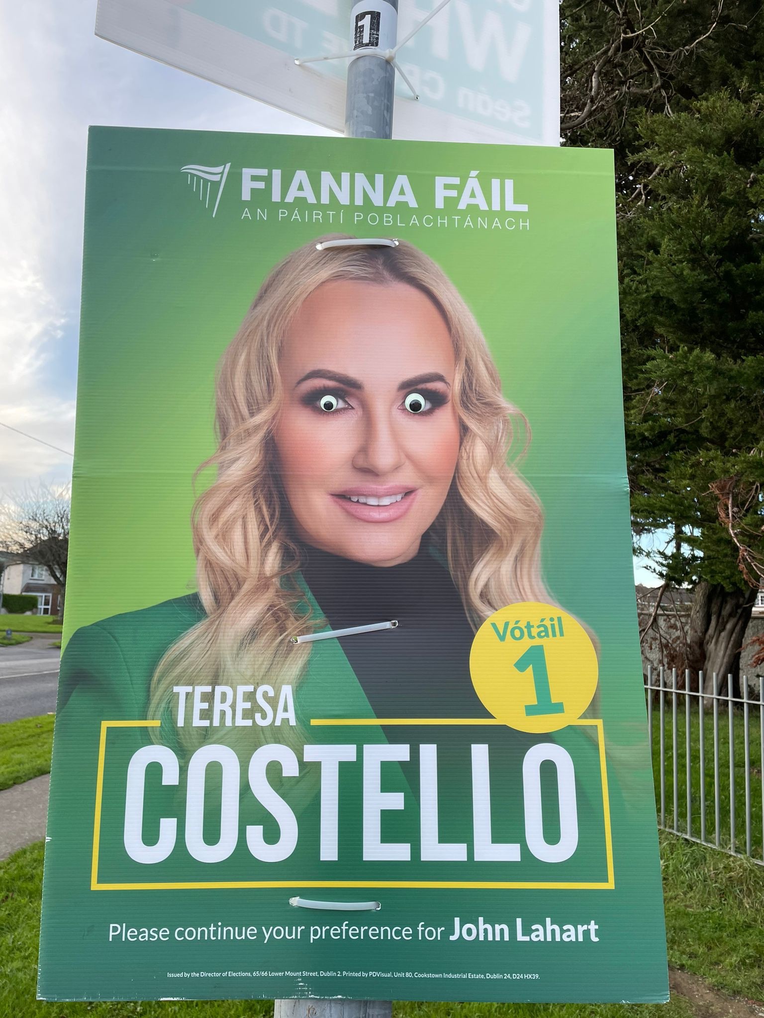 Googly Eyes on Election Posters: My New Favorite Trend