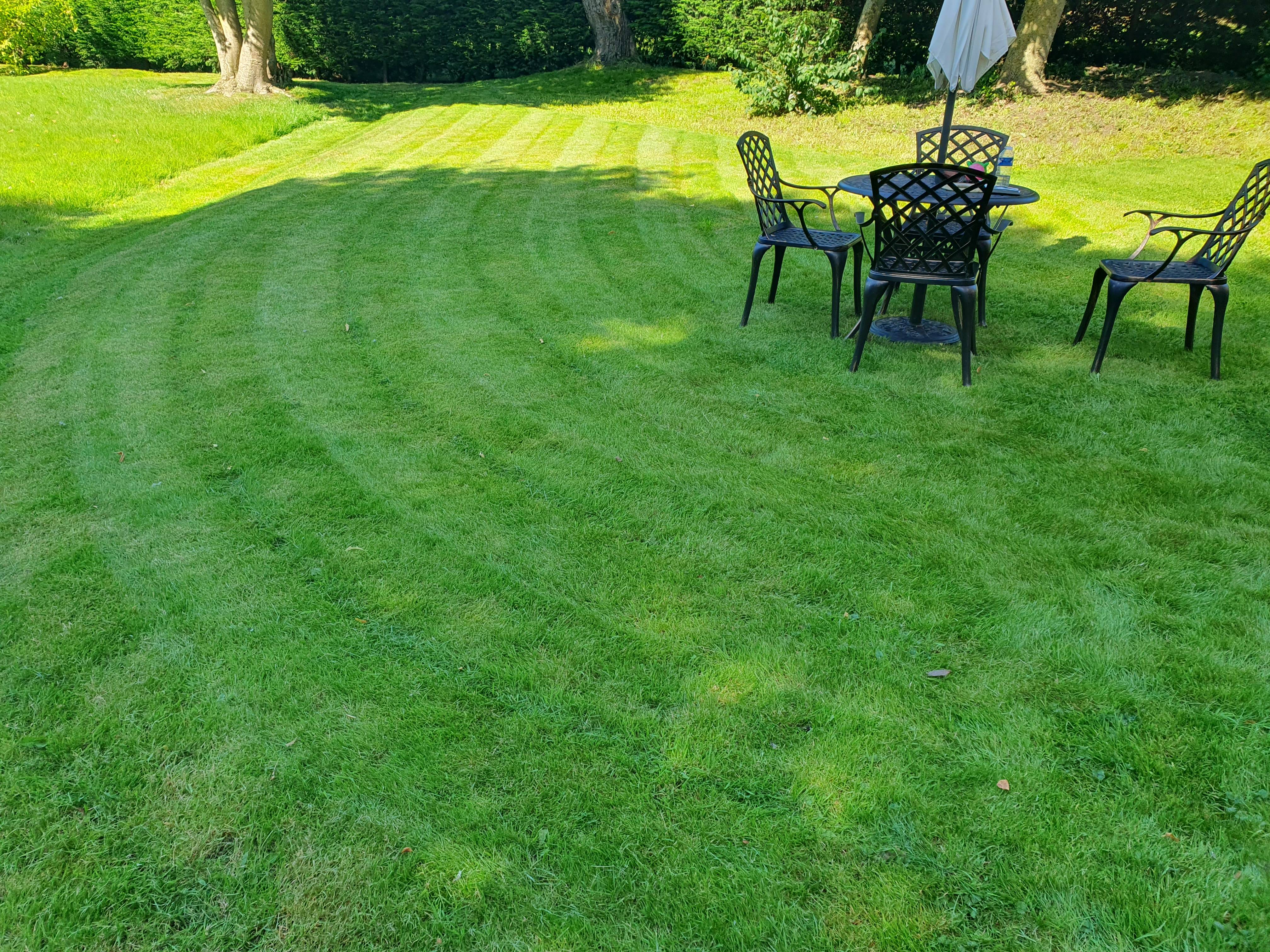 A Beautiful Garden Oasis