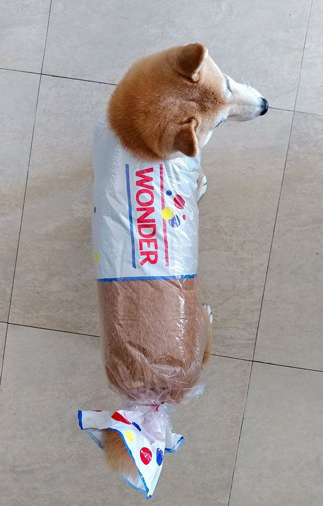 Are you a fan of bread?