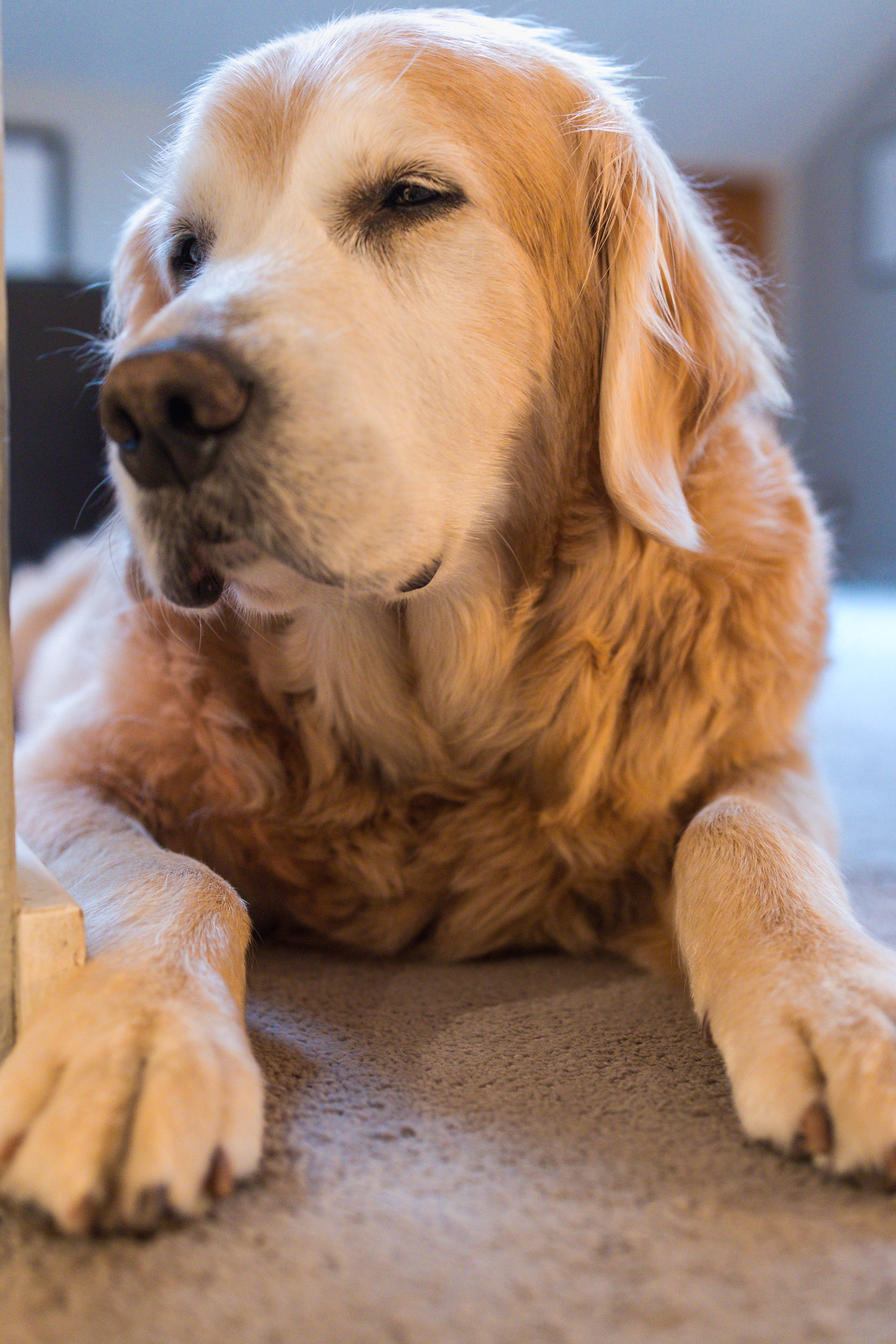 This One Perfectly Captures His Cooper Essence