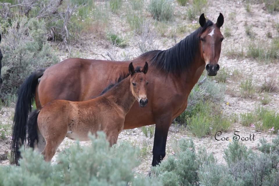 A Heartwarming Moment: Mom and Baby