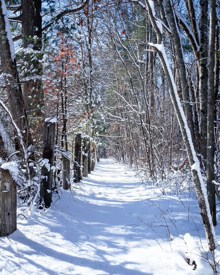 A Serene Snowy Path Awaits