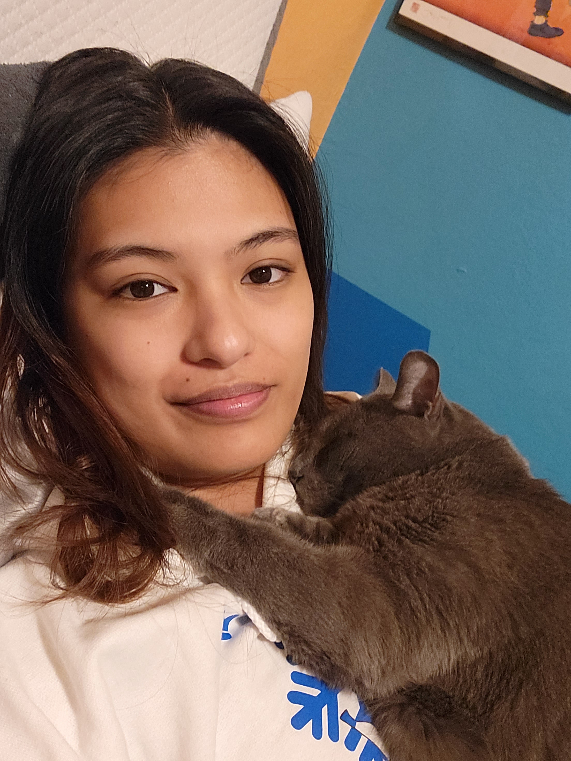 A Merry Christmas from My Sleepy Feline Friend