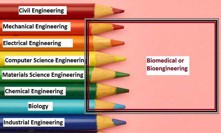 Exploring the Intricacies of Biomedical and Bioengineering Fields