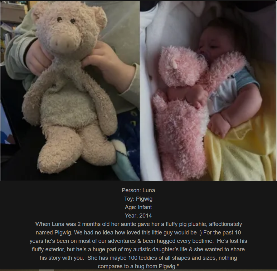 Day 778: Join Me on My Journey at www.saidtheskinhorse.com - Celebrating Our Cherished Childhood Toys with Pigwig, the Latest Addition!