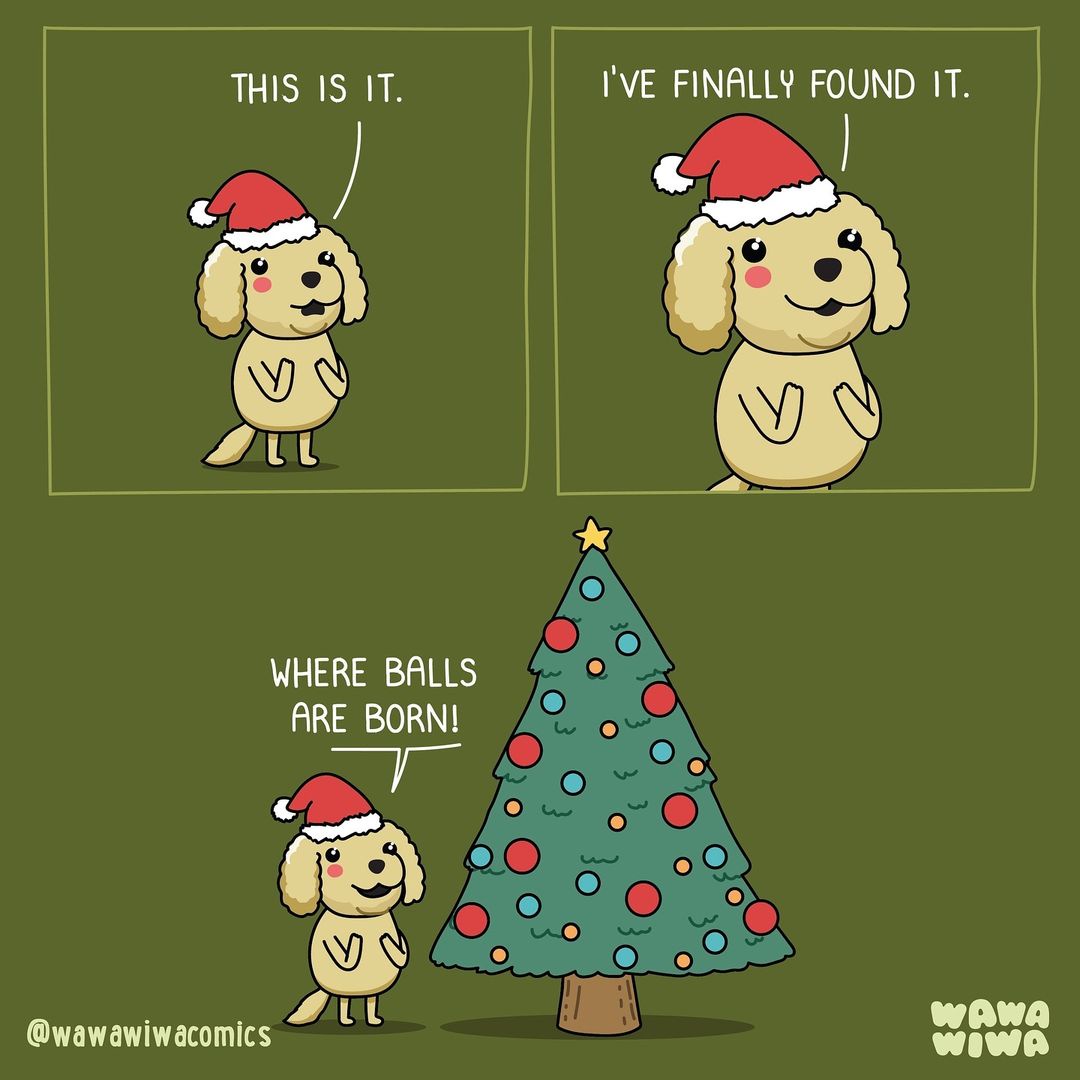 Welcome to the birthplace of all things balls!