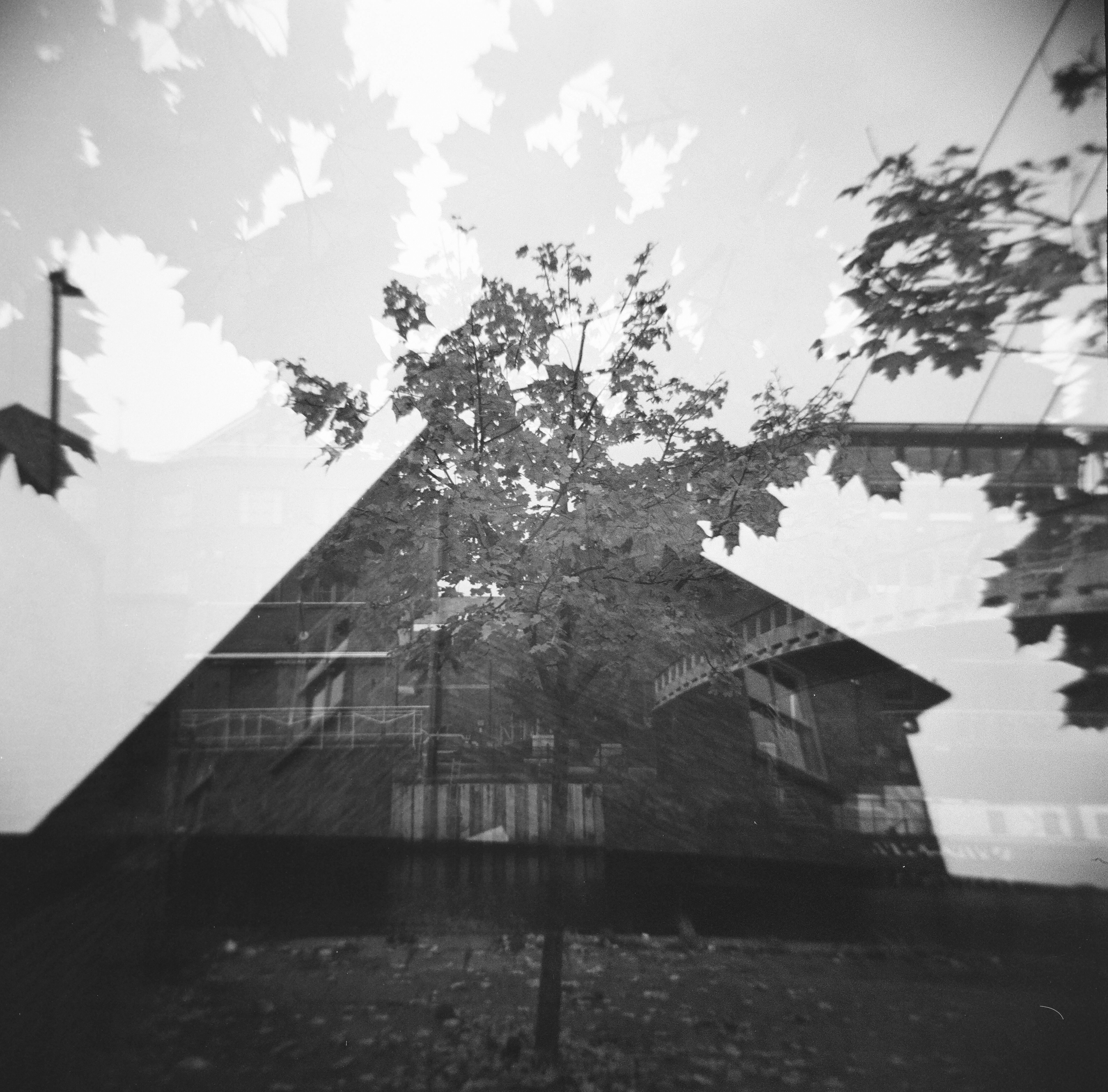 The Beauty of Docklands in Autumn: A Leeds Perspective