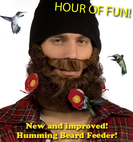 The Humming Beard Feeder in Action!