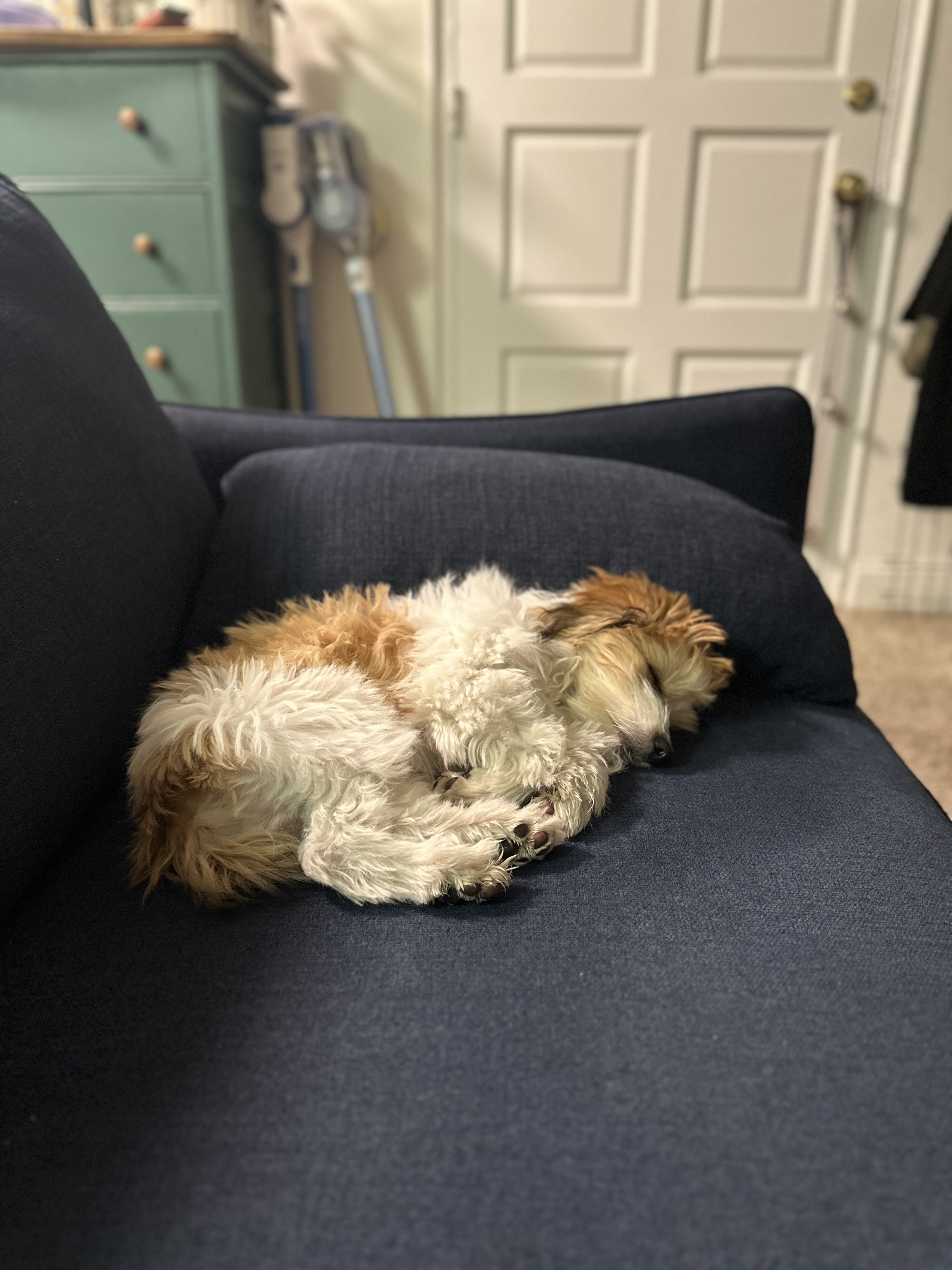 Caught in a Sleepy Moment