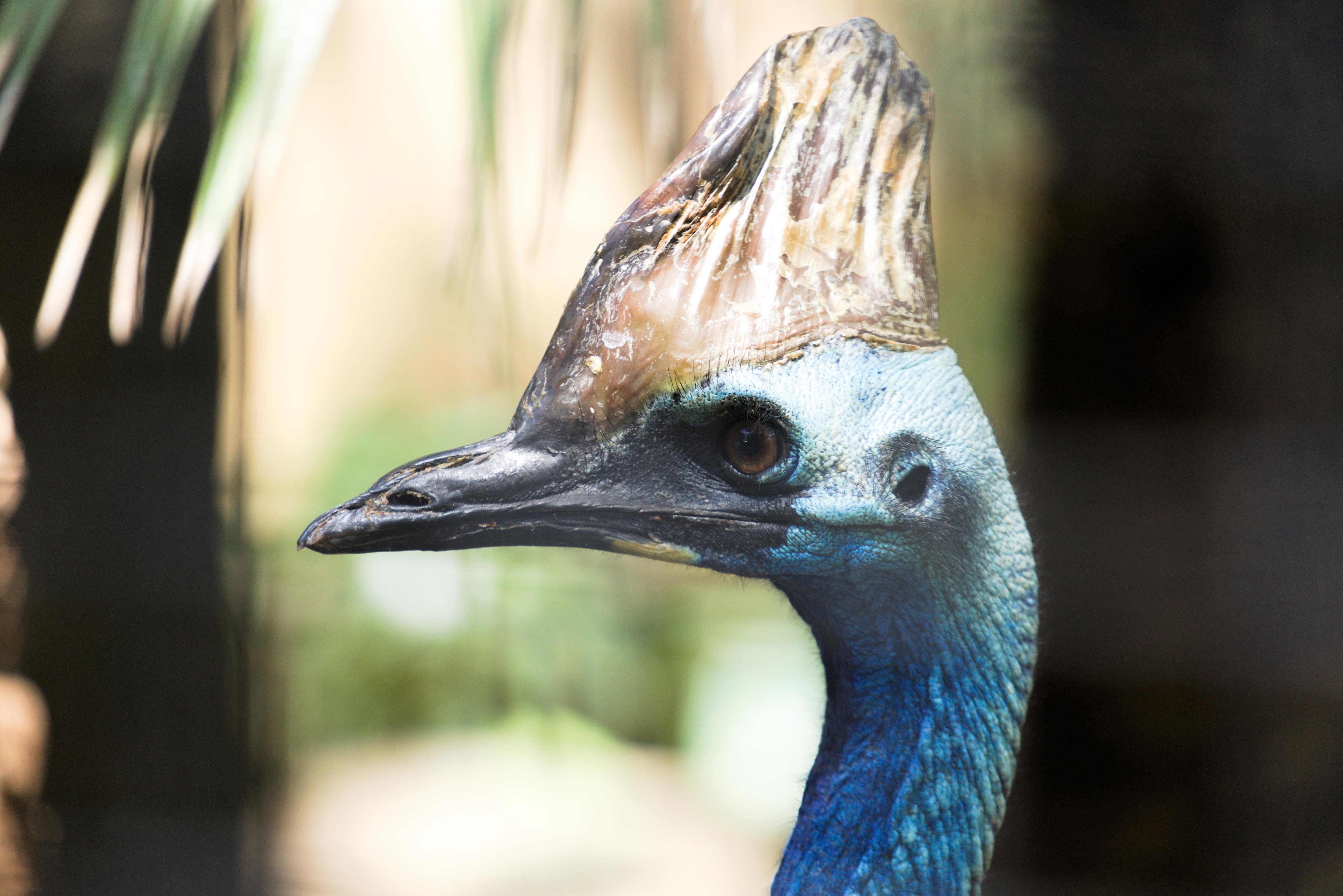 Capturing Moments with the Sony A7RII and 70-200 F4 G Lens