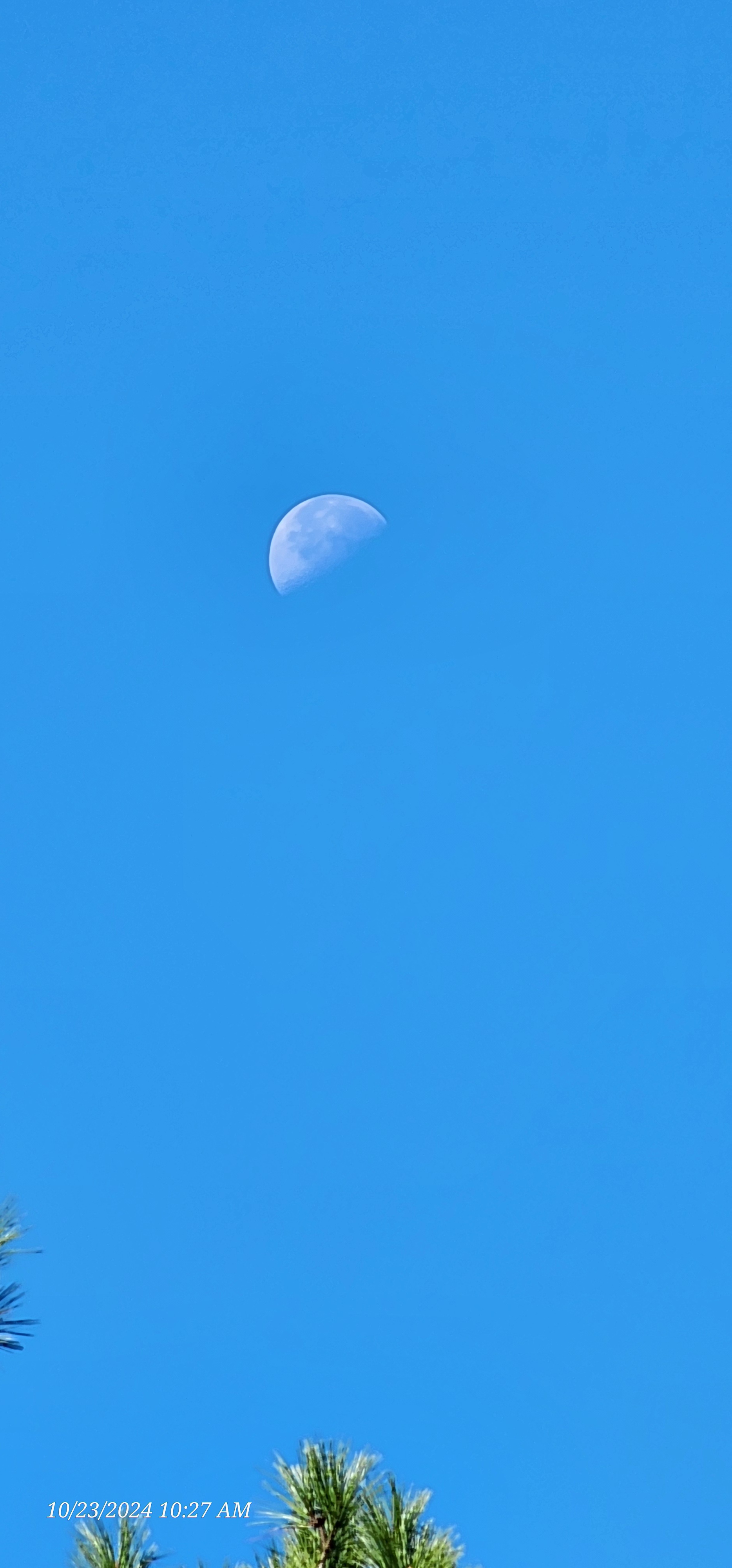 The Enchanting Half Day Moon