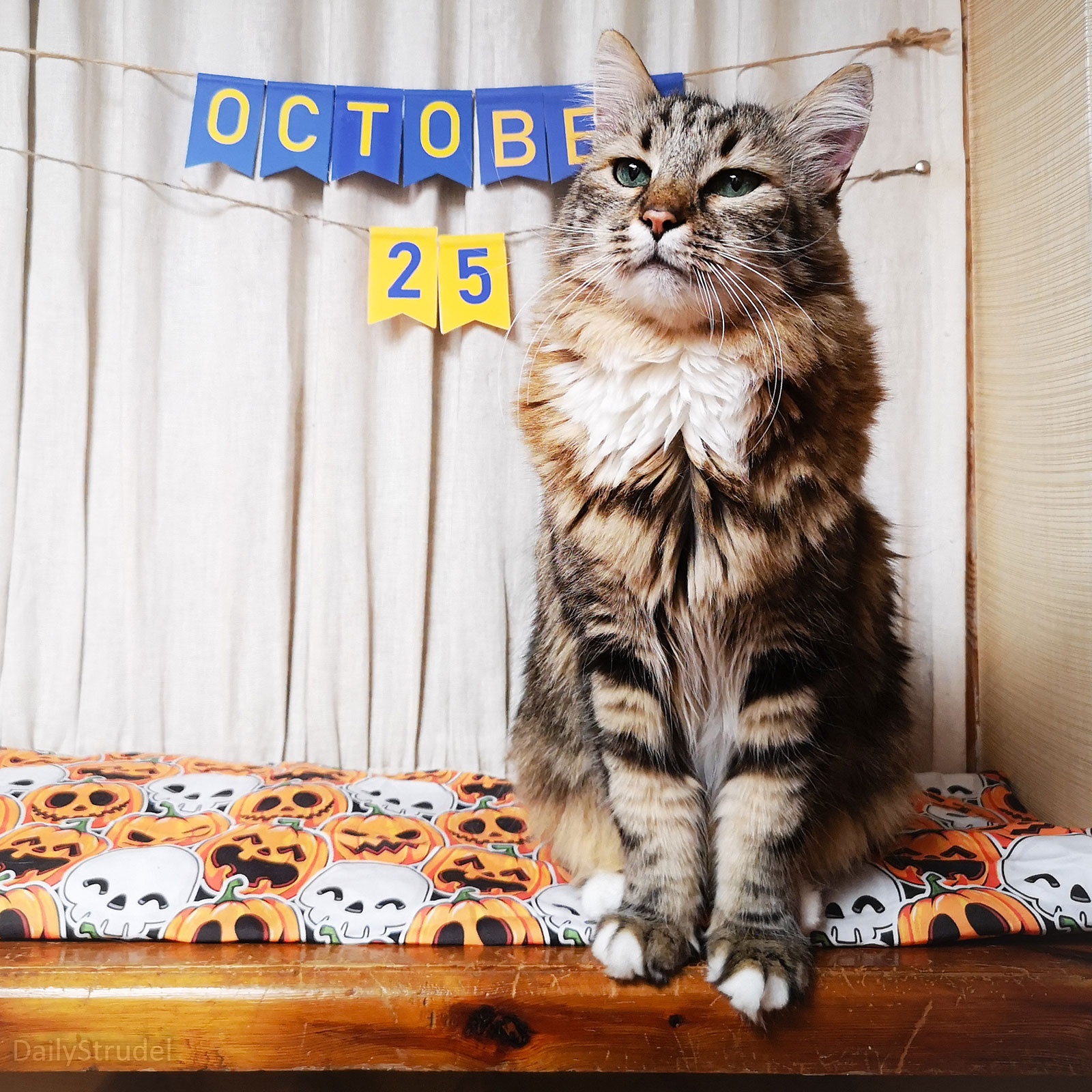 Mark Your Calendars: October 25 is Here!