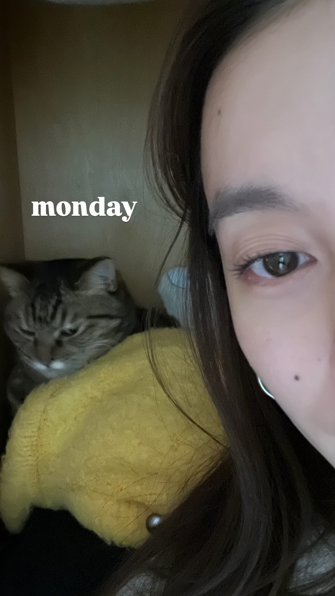 Ah, the dreaded Monday blues