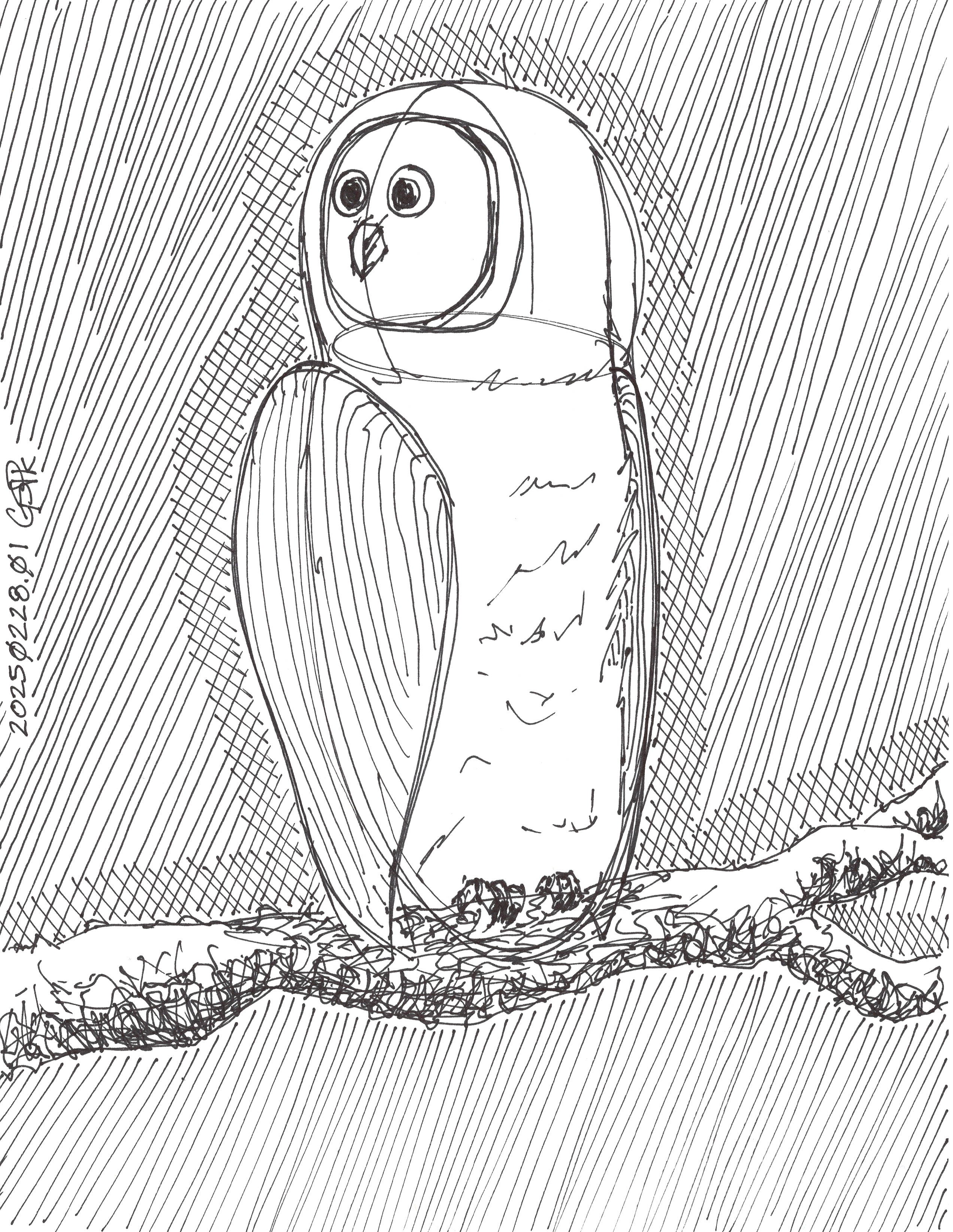 Barn Owl: The Enigmatic 20250228.01